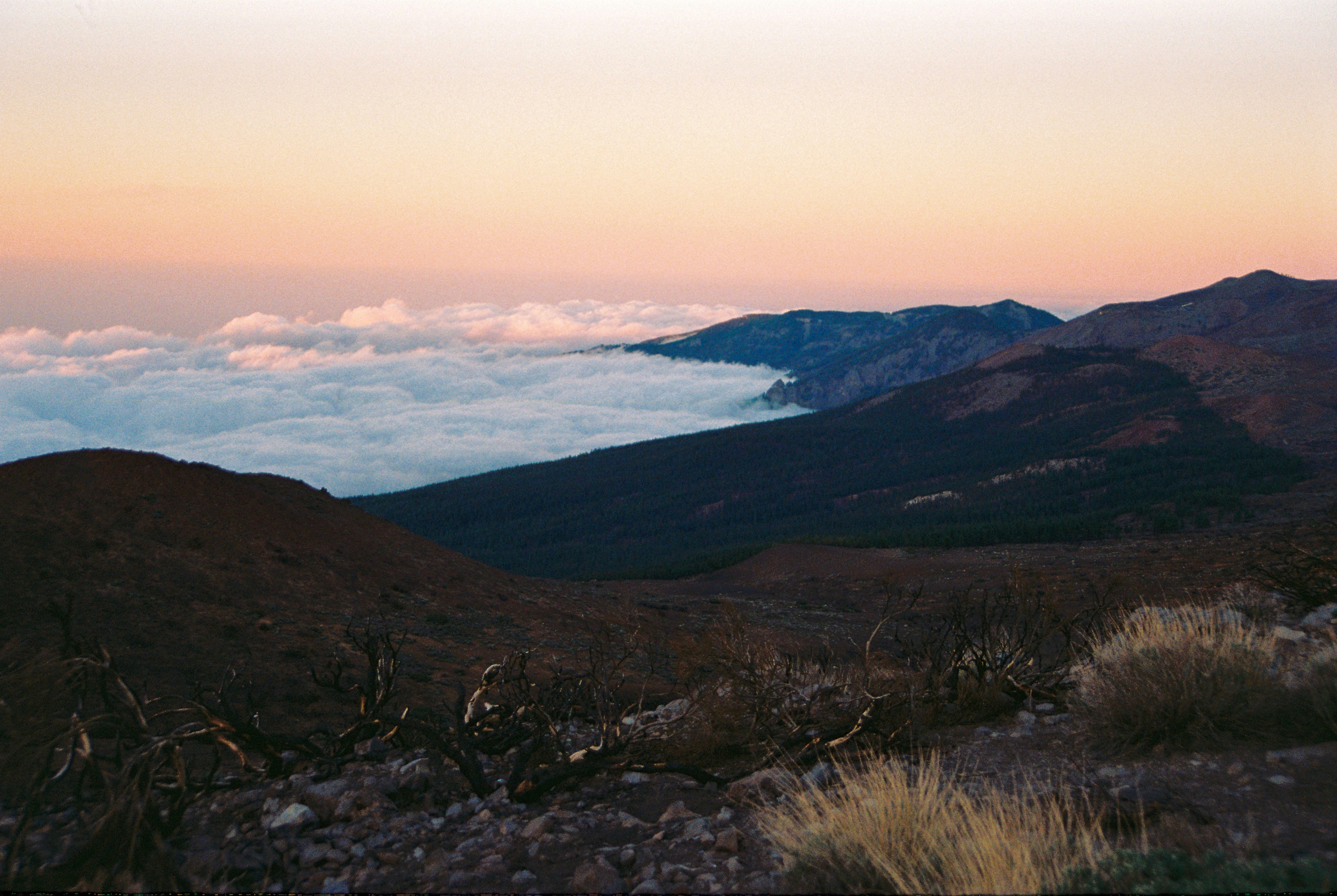 Photo by santiago_92