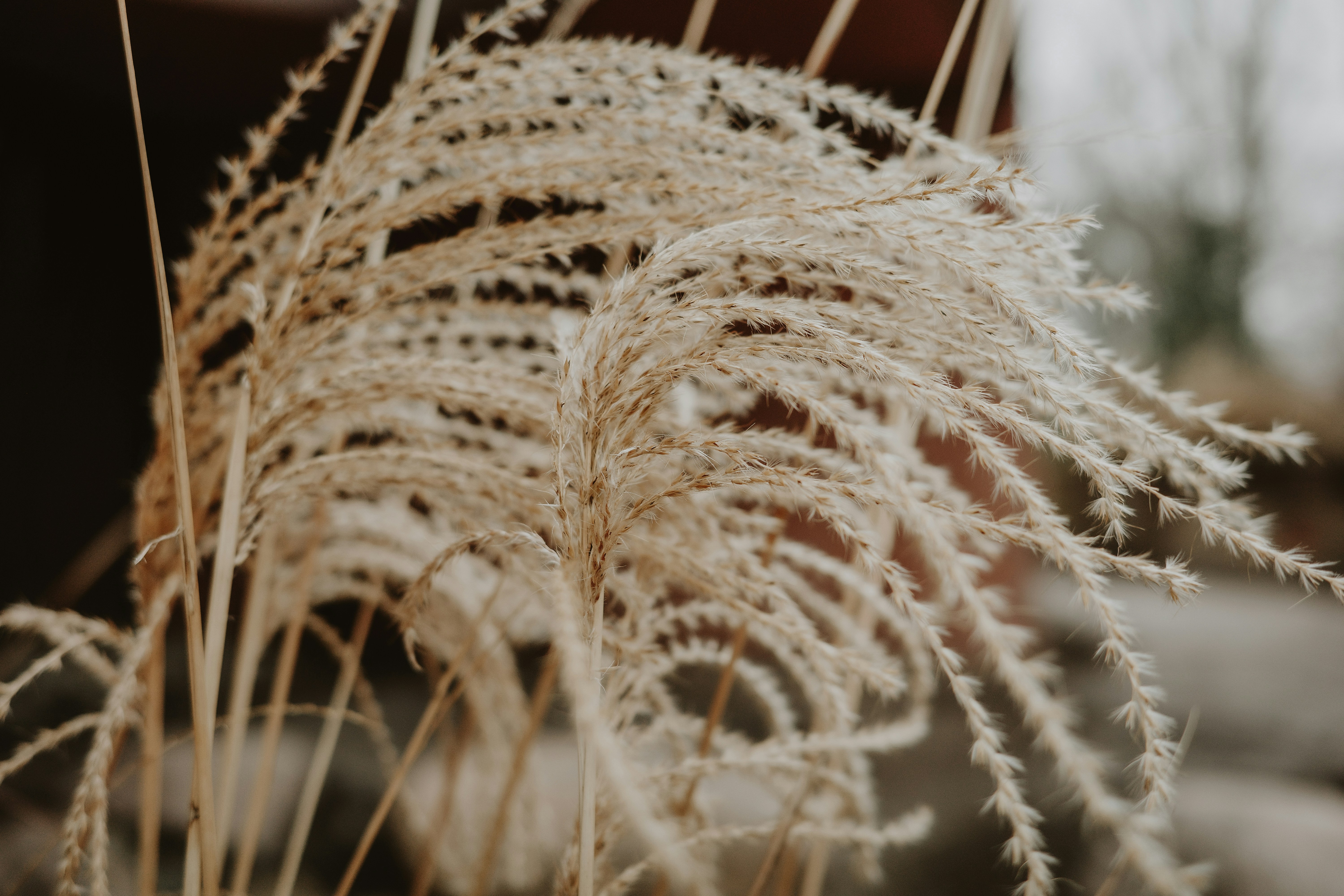 Photo by virginiaphotostories