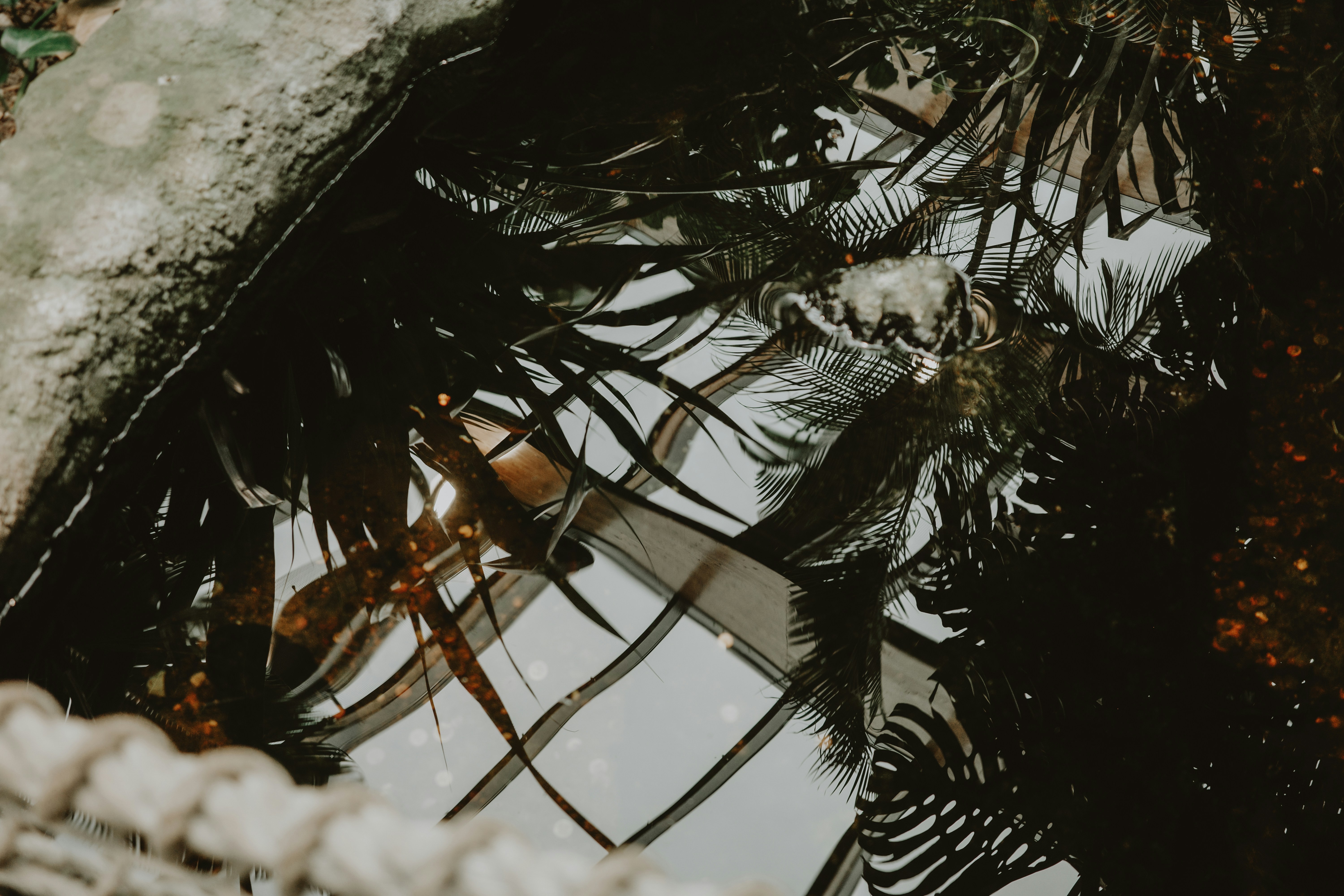 Photo by virginiaphotostories