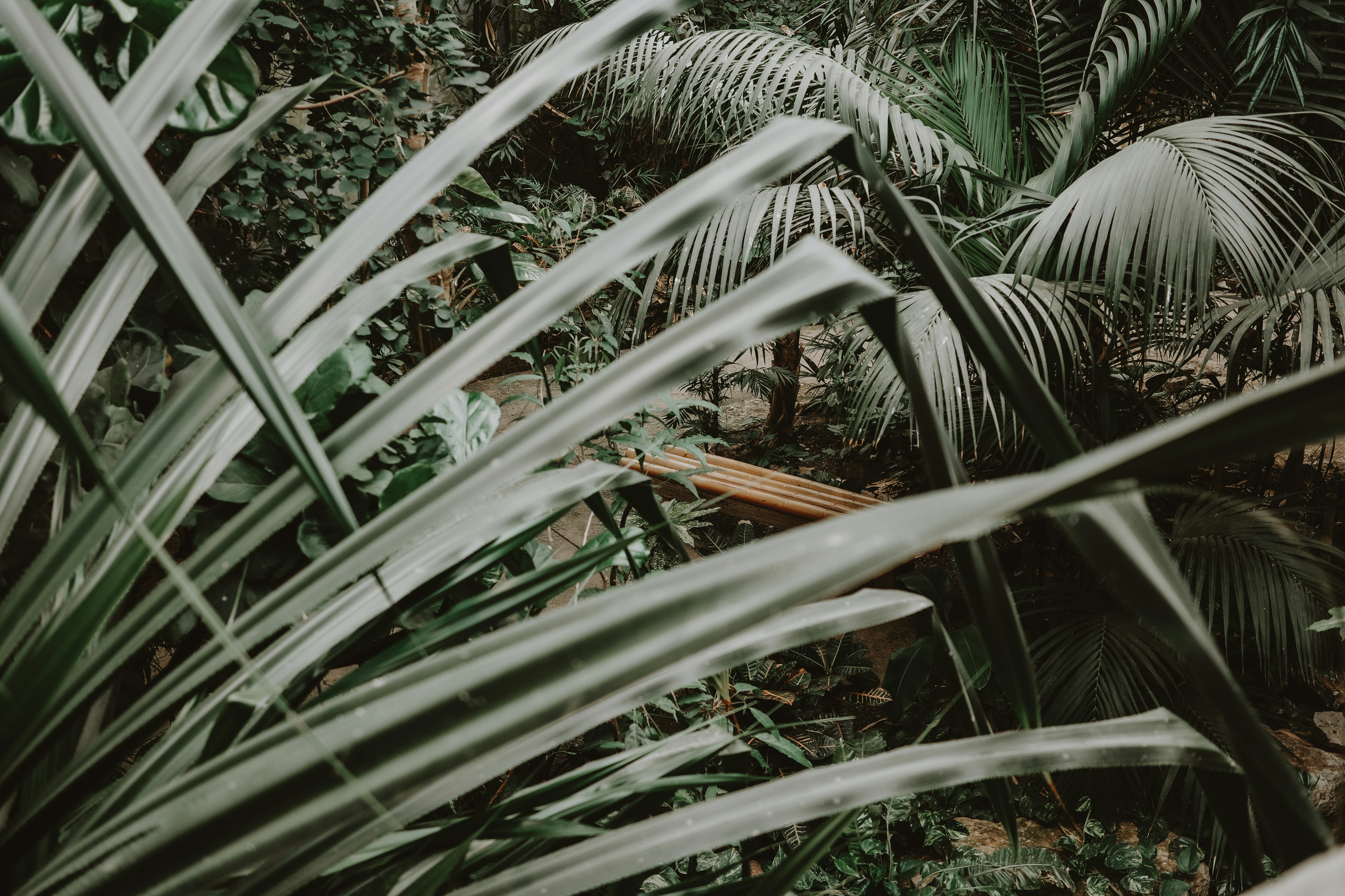 Photo by virginiaphotostories