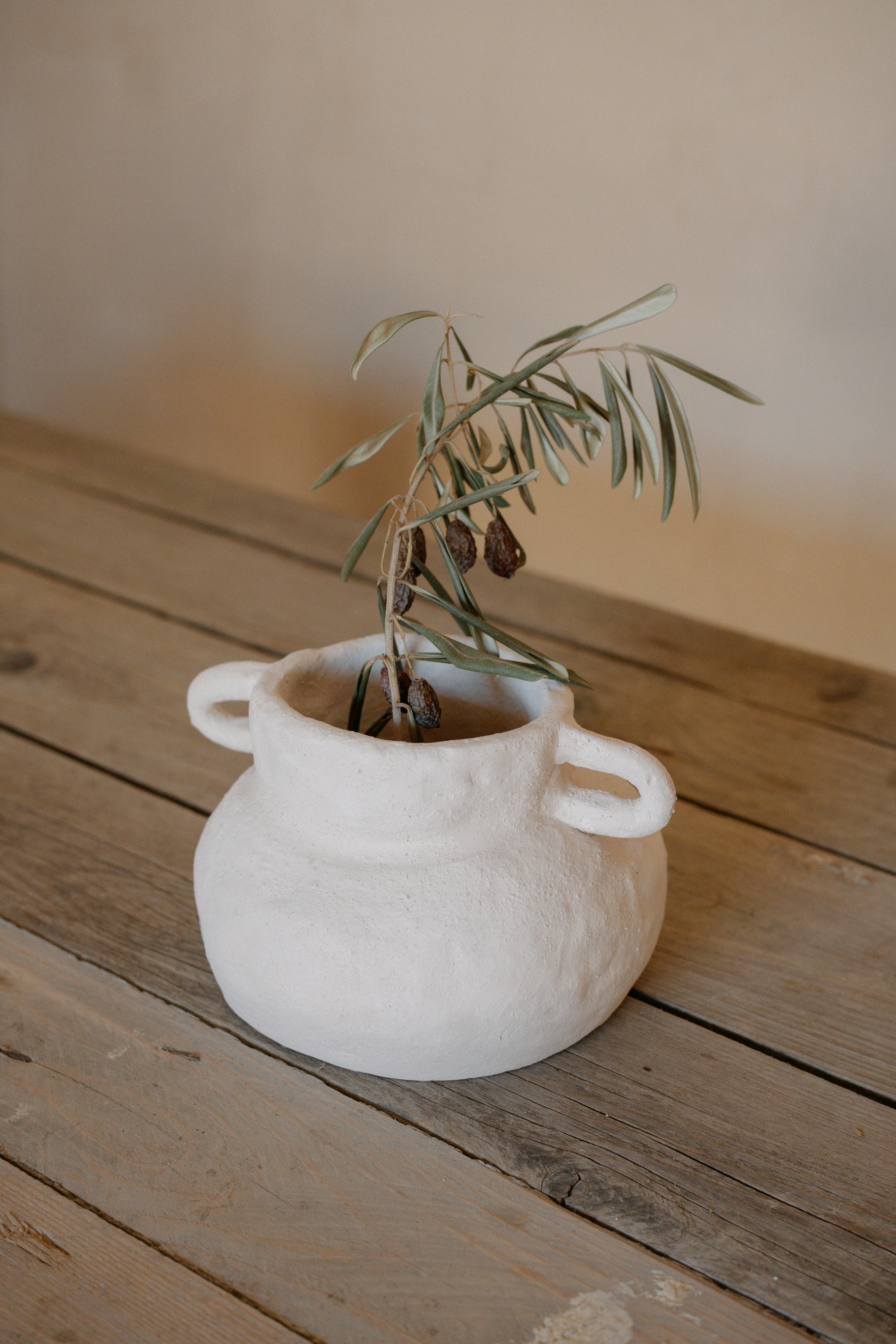 thuja kaffeesatz Koniferen Dünger - Mineralischer NPK Flüssigdünger mit Stickstoff main image 1