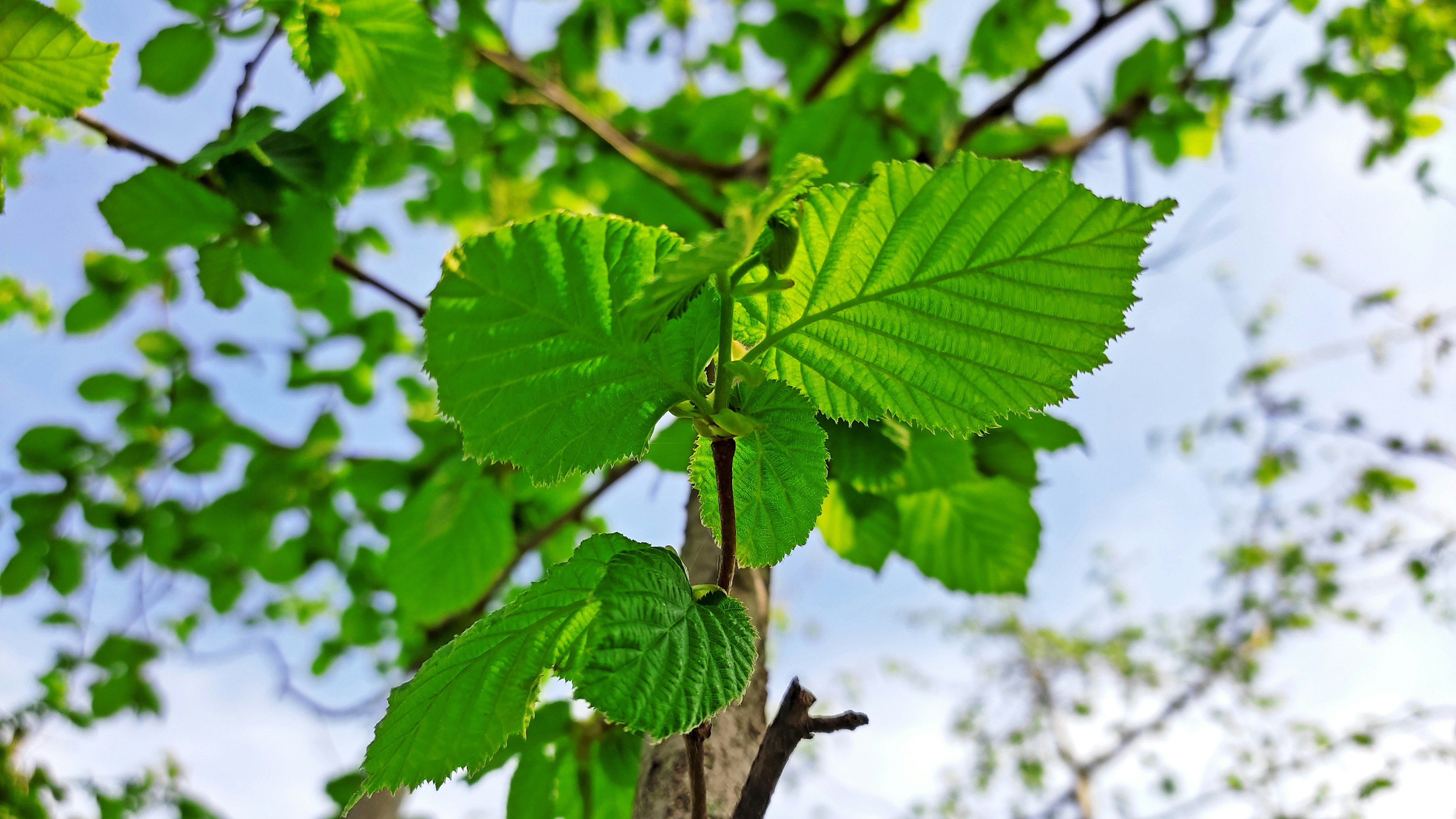 Photo by zulfugarkarimov