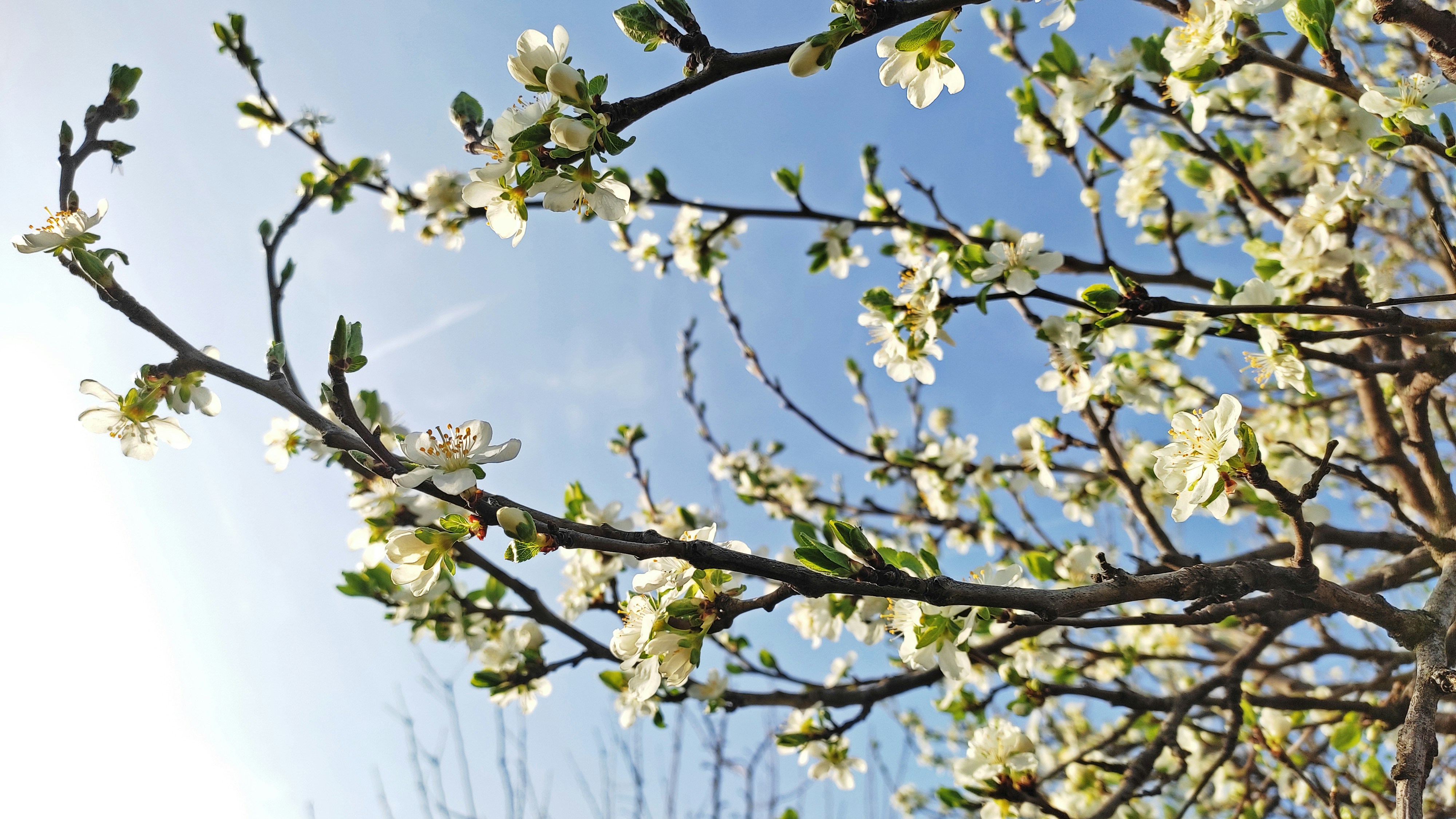 Photo by zulfugarkarimov