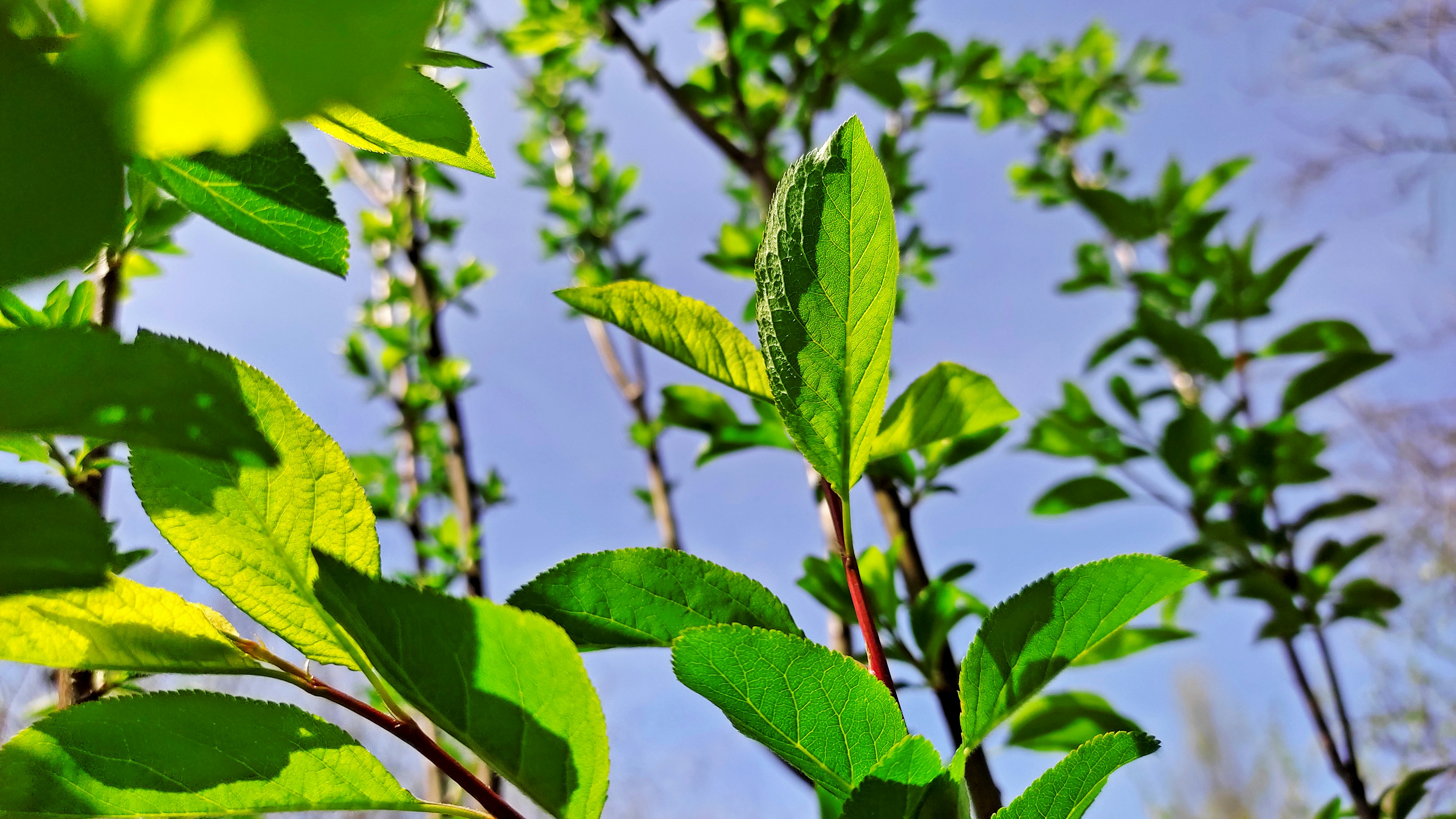 Photo by zulfugarkarimov