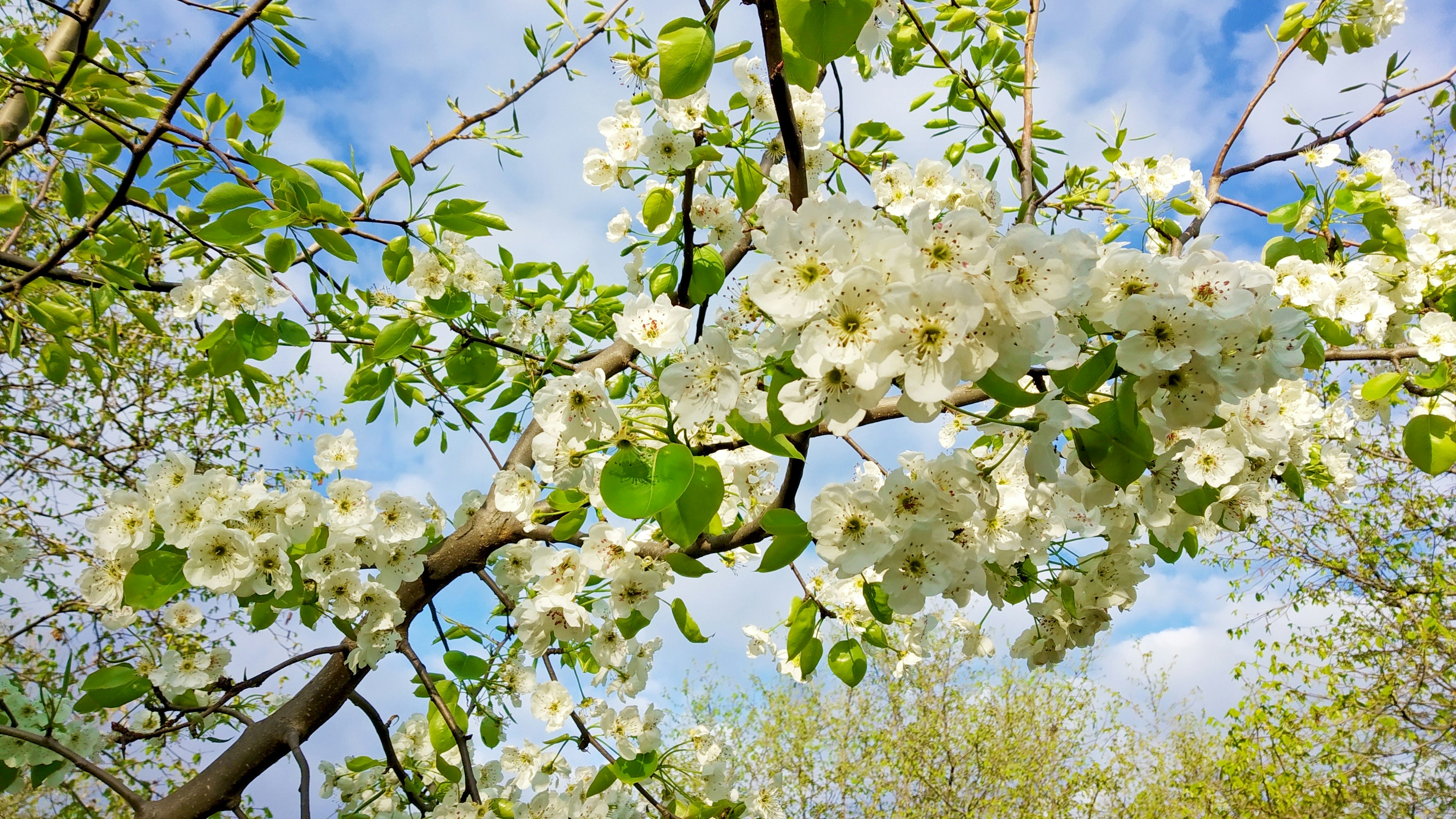 Photo by zulfugarkarimov