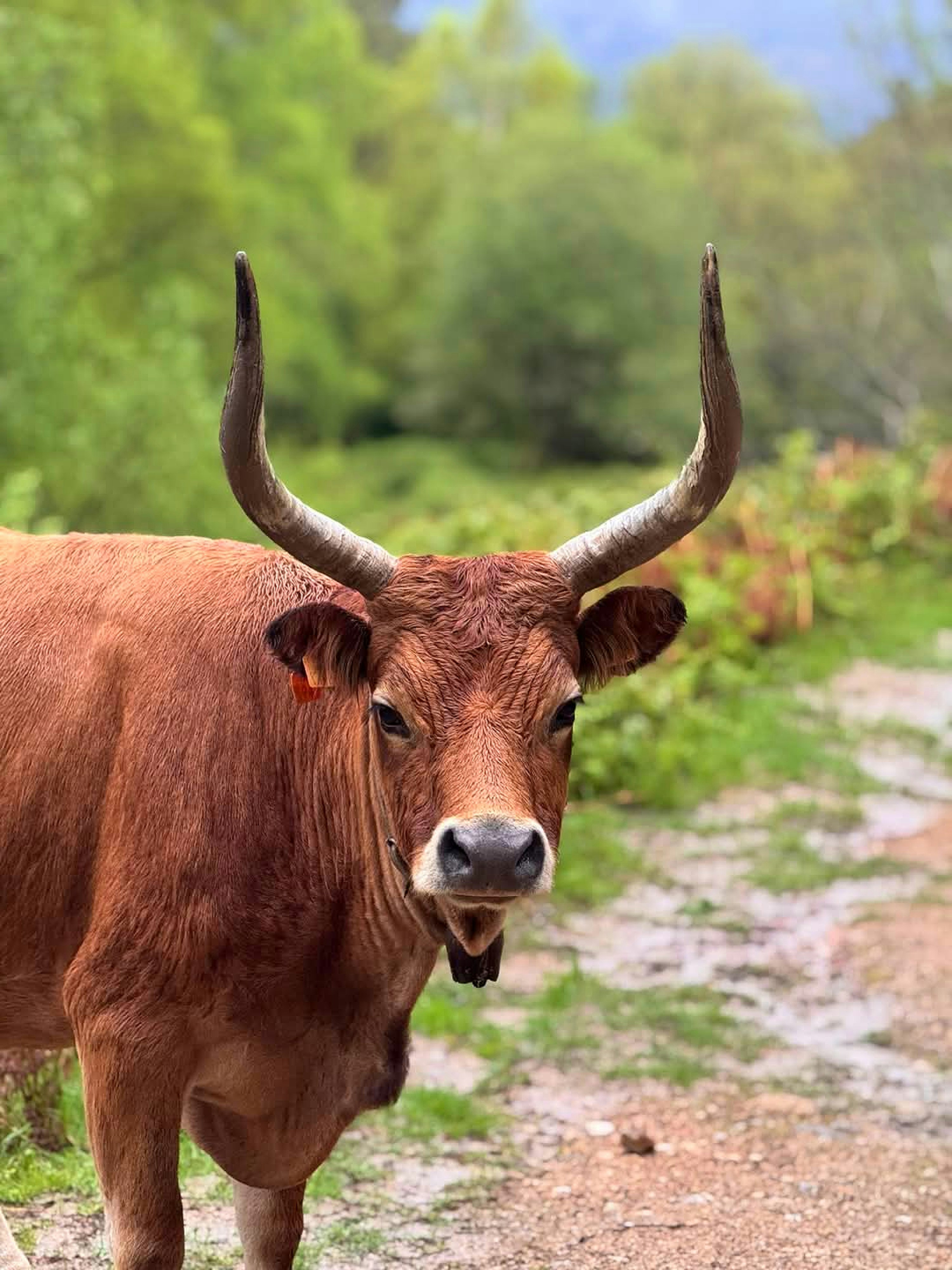 Photo by lfcsfilipesousa