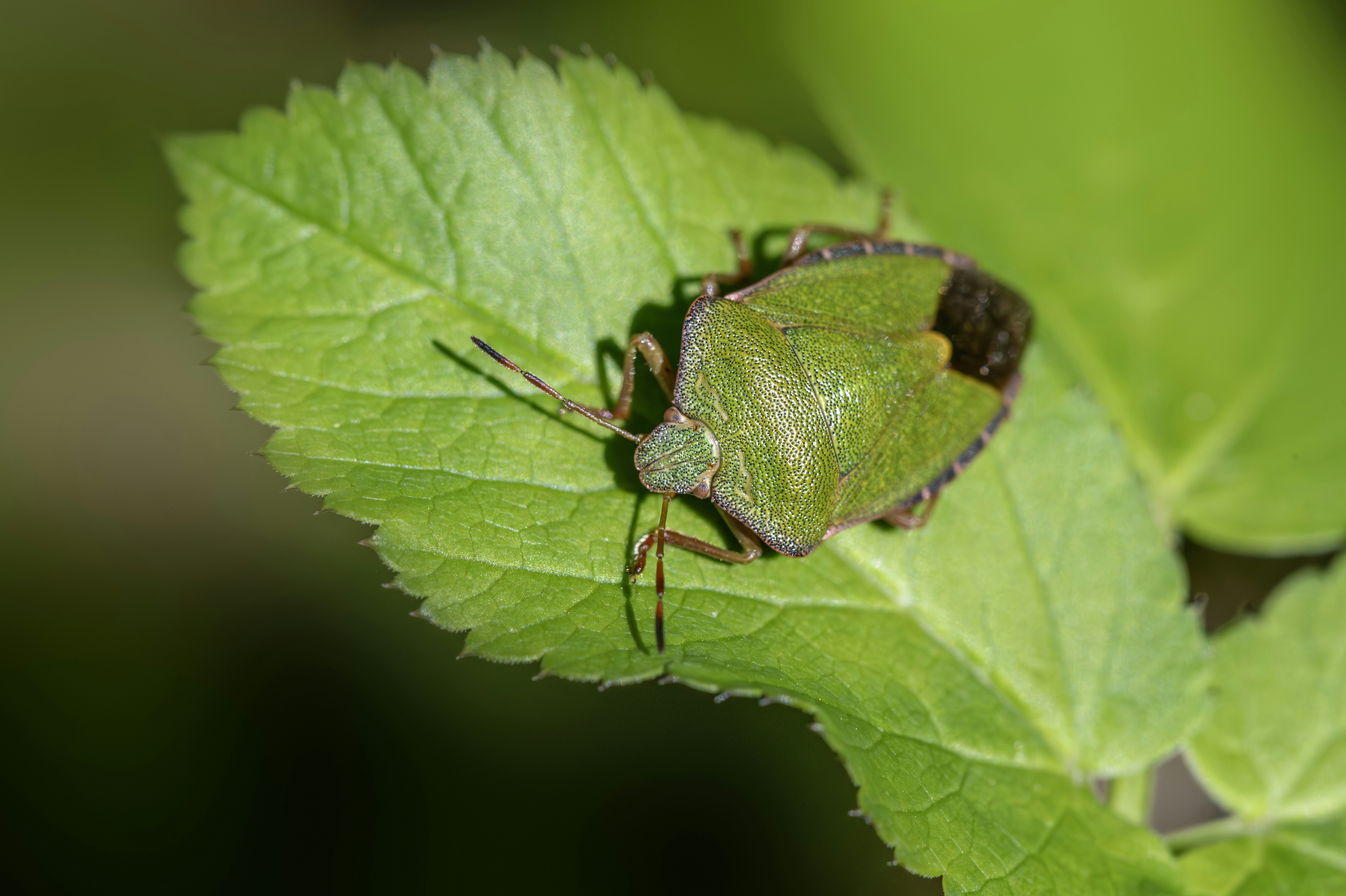 Photo by erik_karits