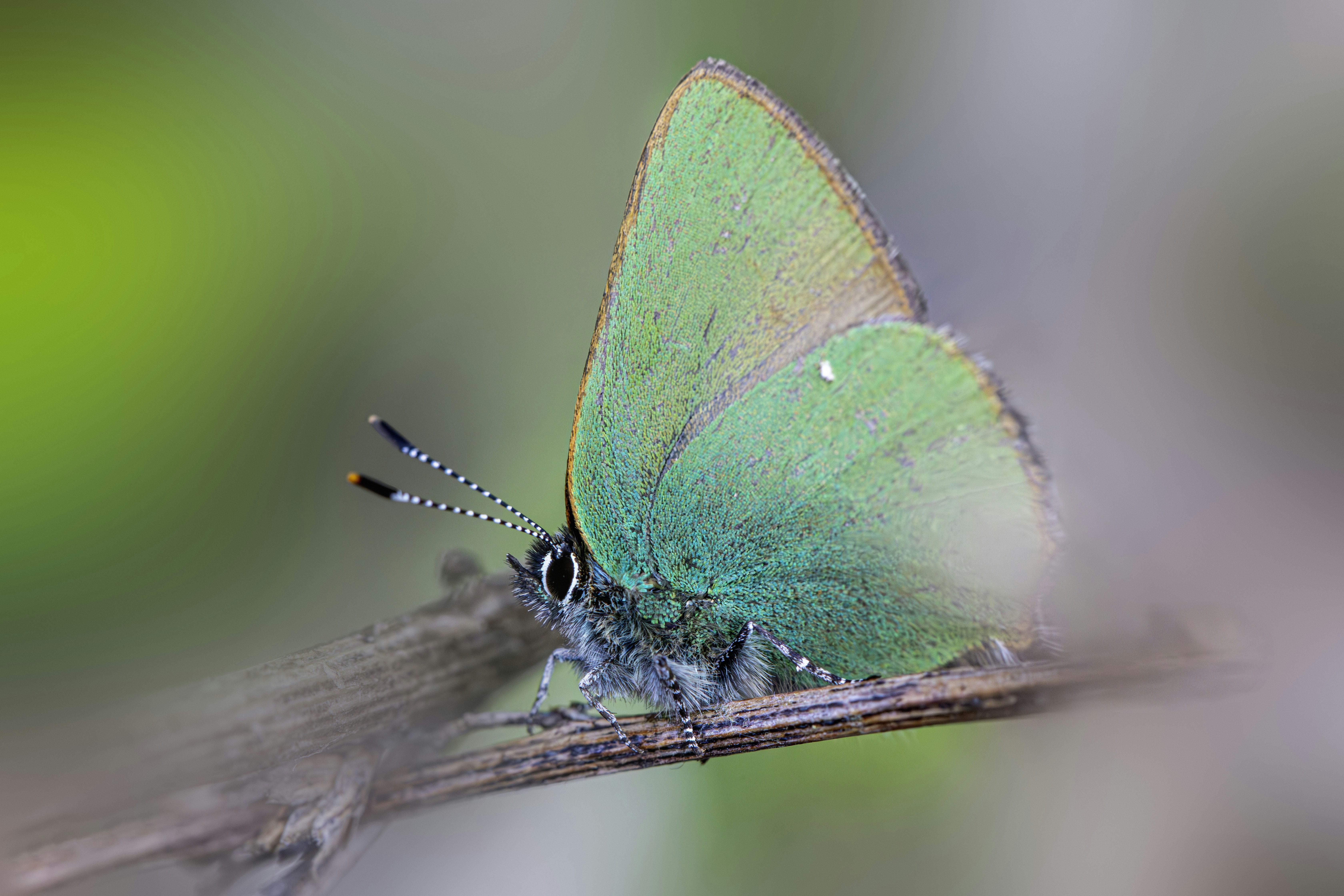 Photo by erik_karits