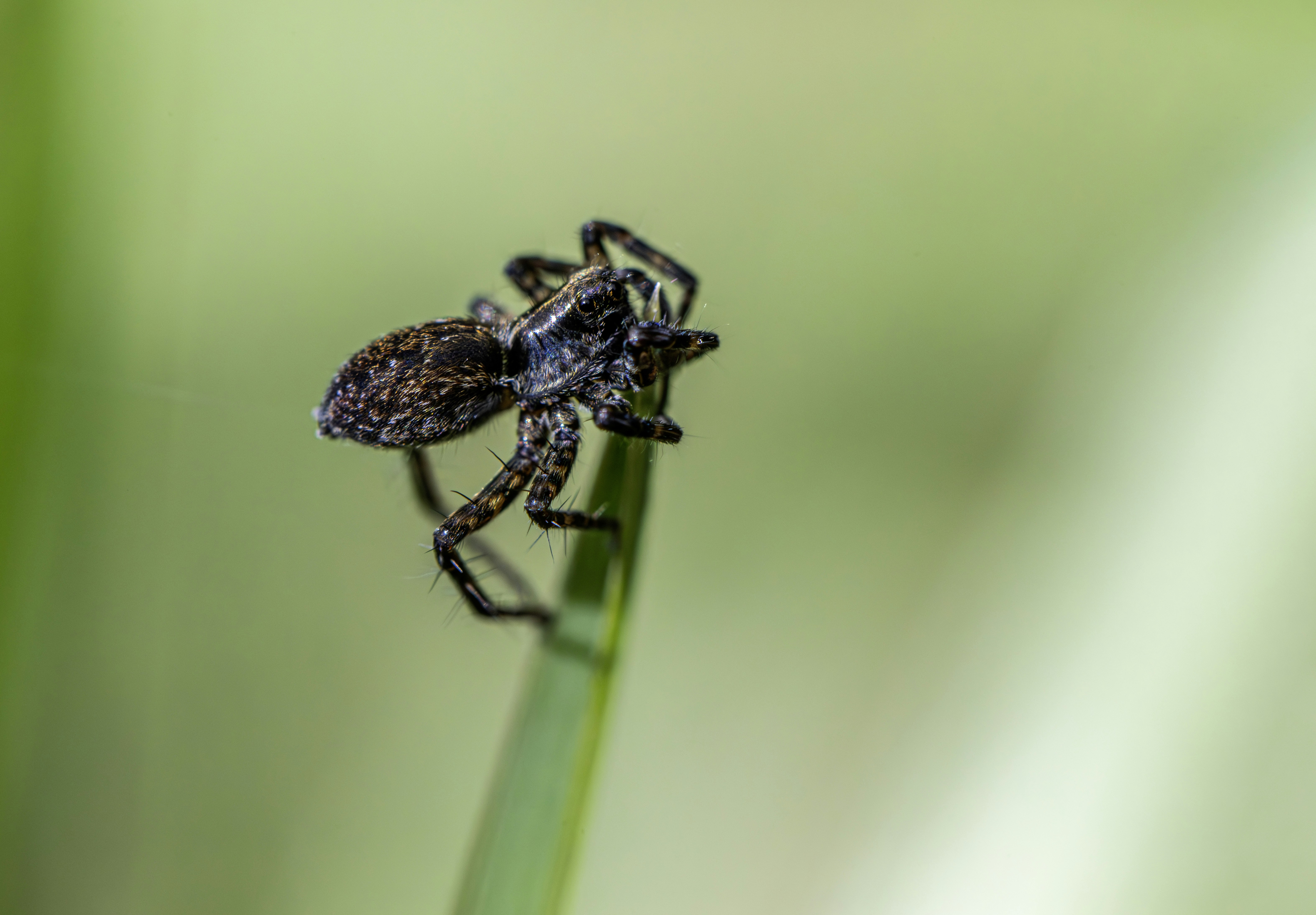 Photo by erik_karits