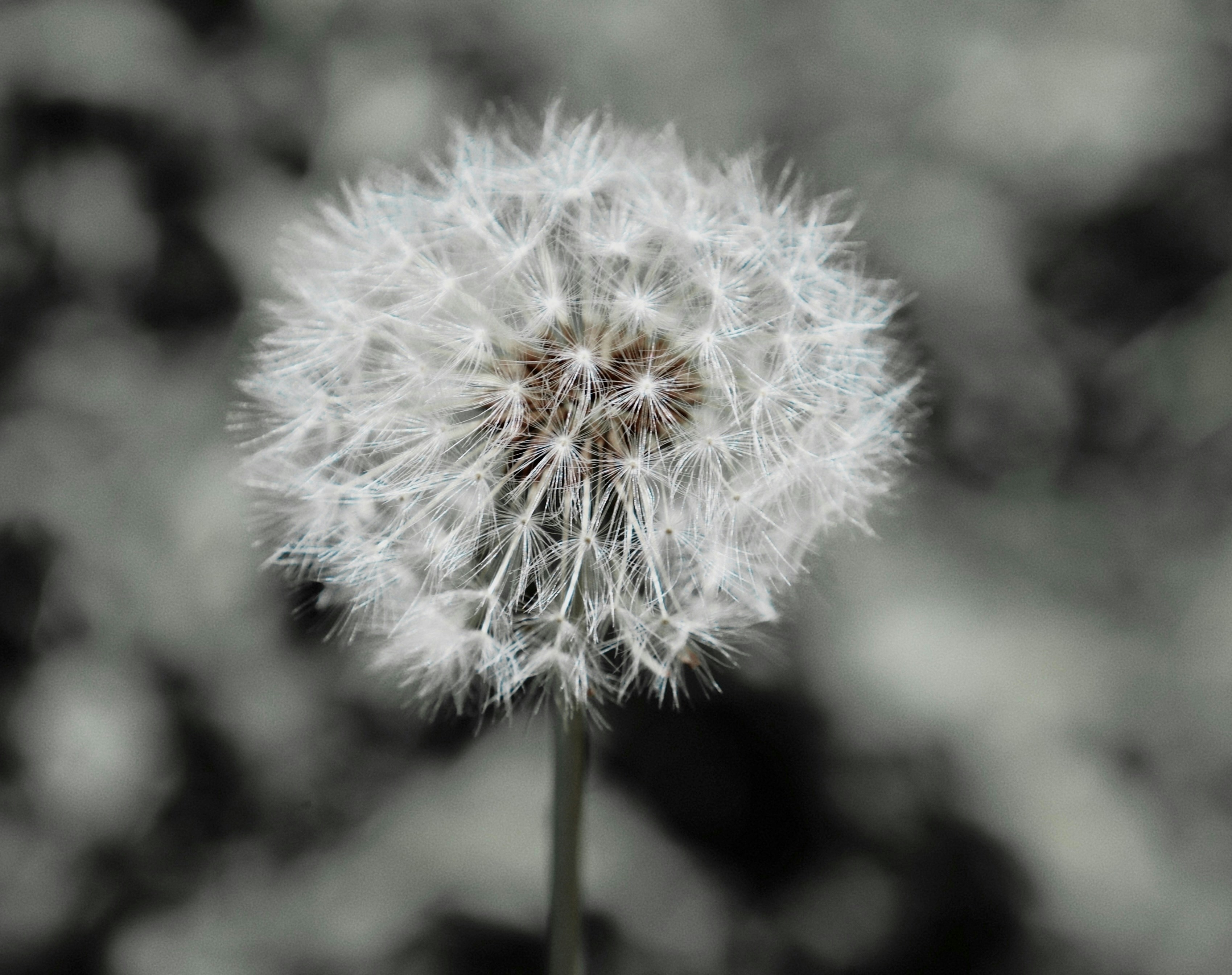 Photo by ananoelleeeee