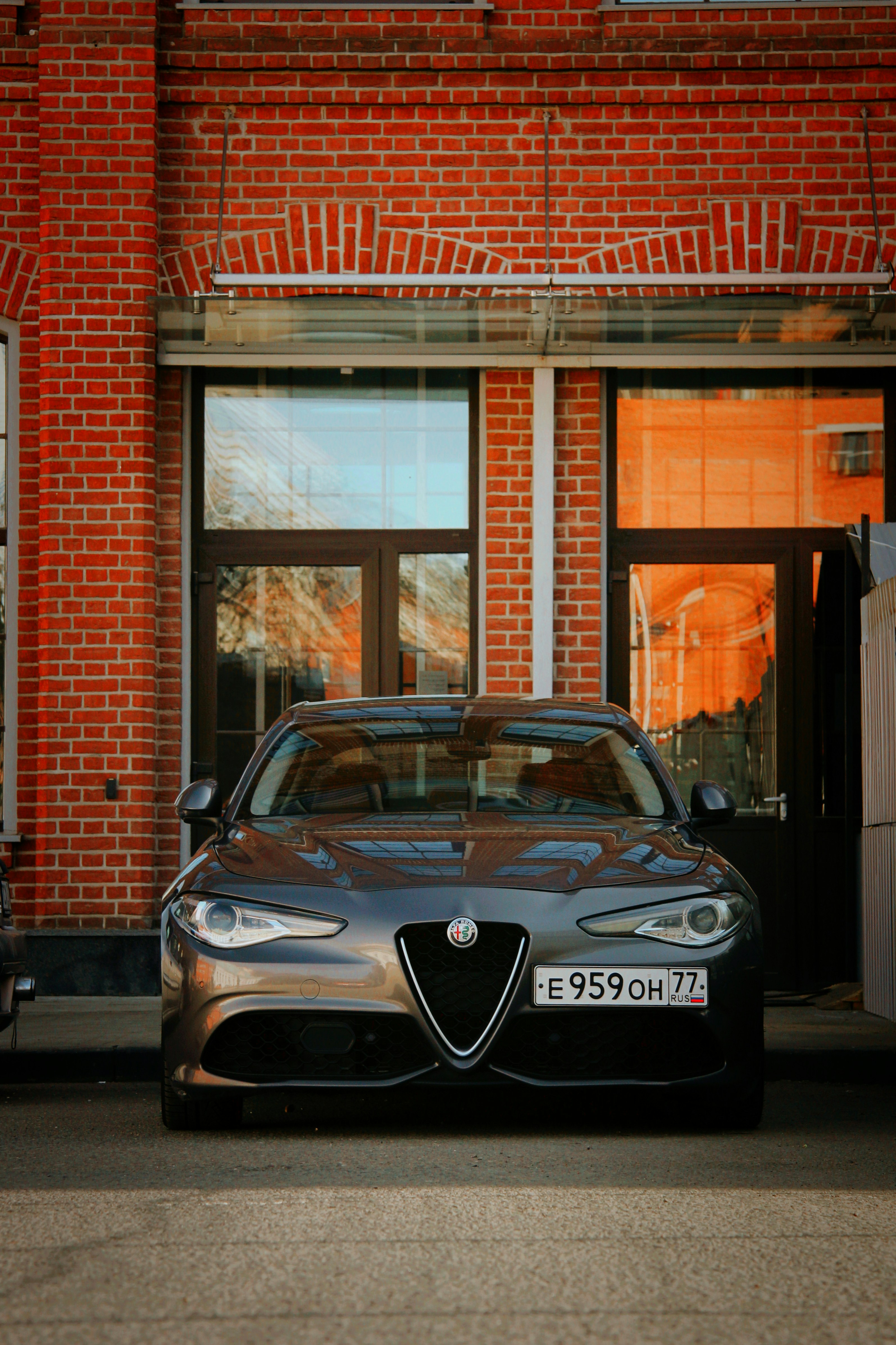 Photo by felis_catus