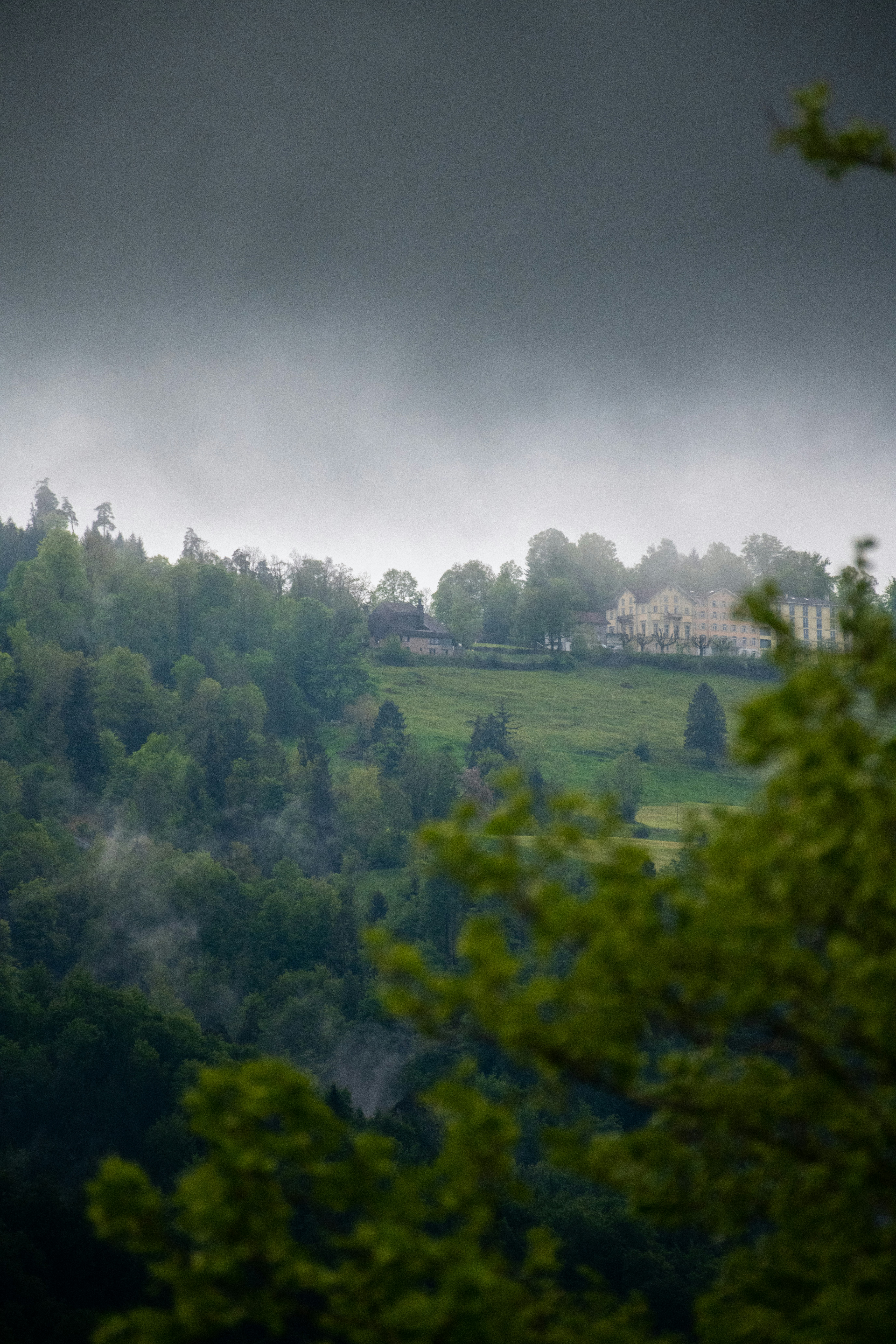 A misty, forested landscape with a distant building.