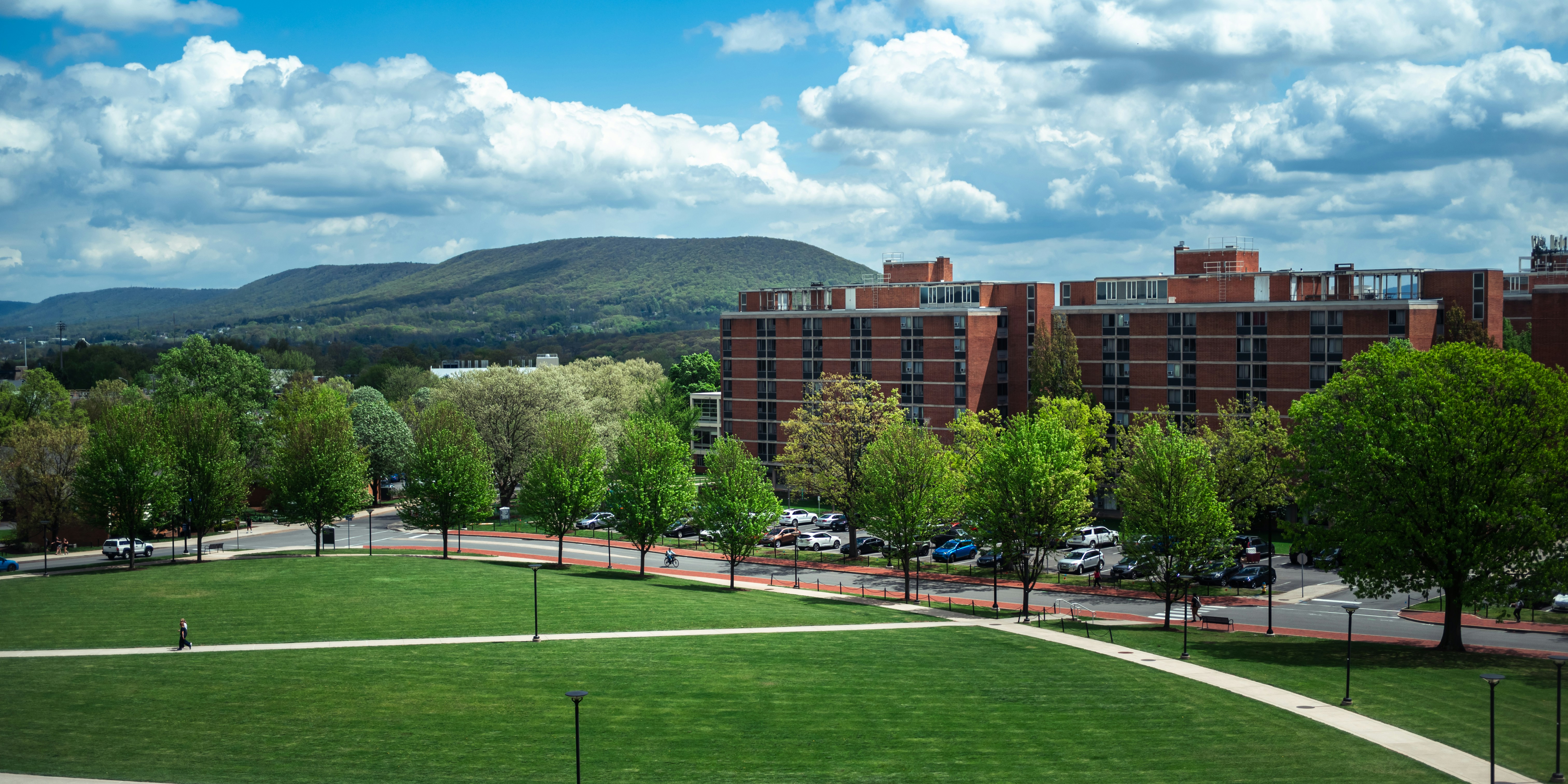 Beyond the Books: 8 Unexpected Perks of Community College