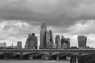 A cloudy day over a modern city skyline.