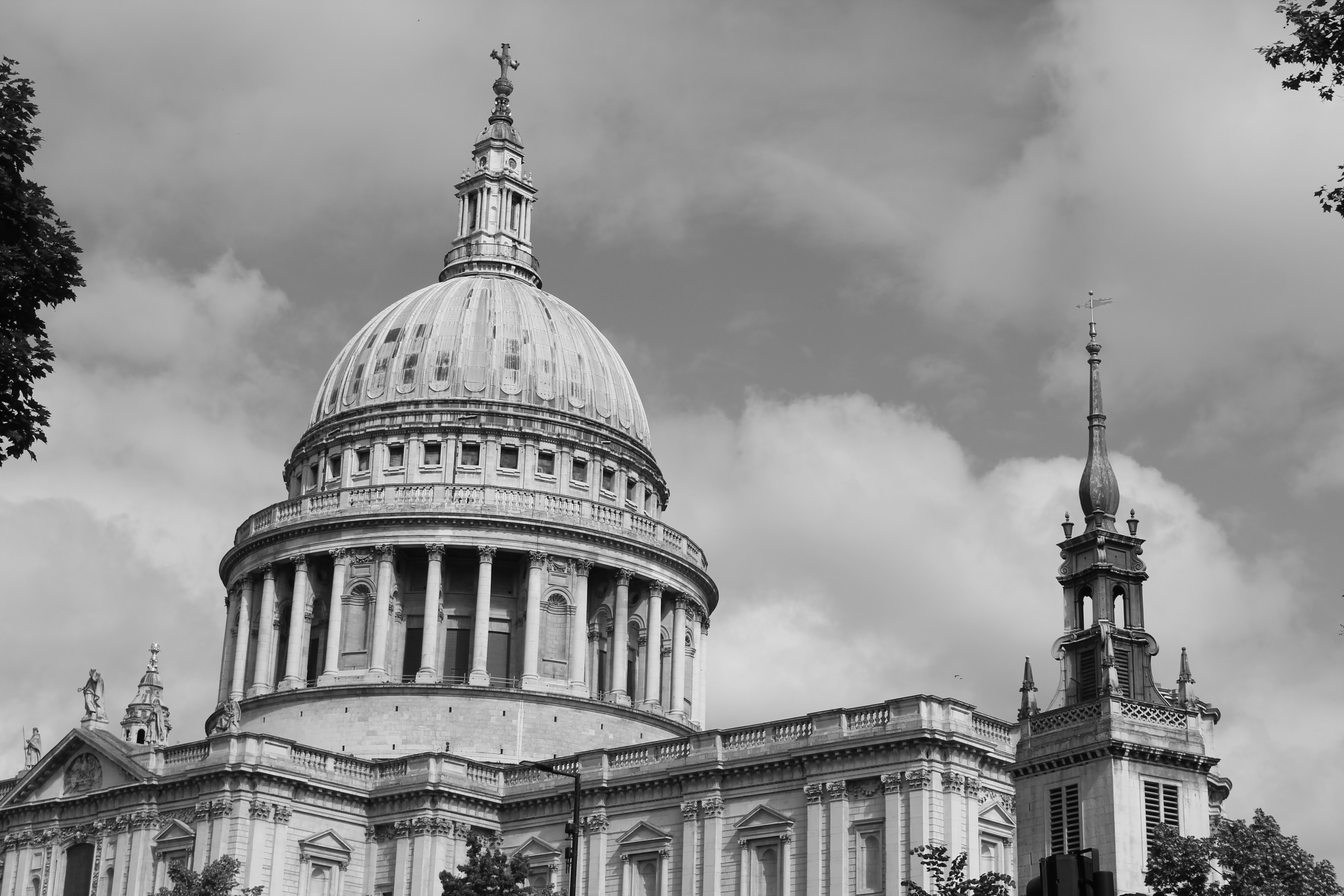 Photo by amirarsalan93