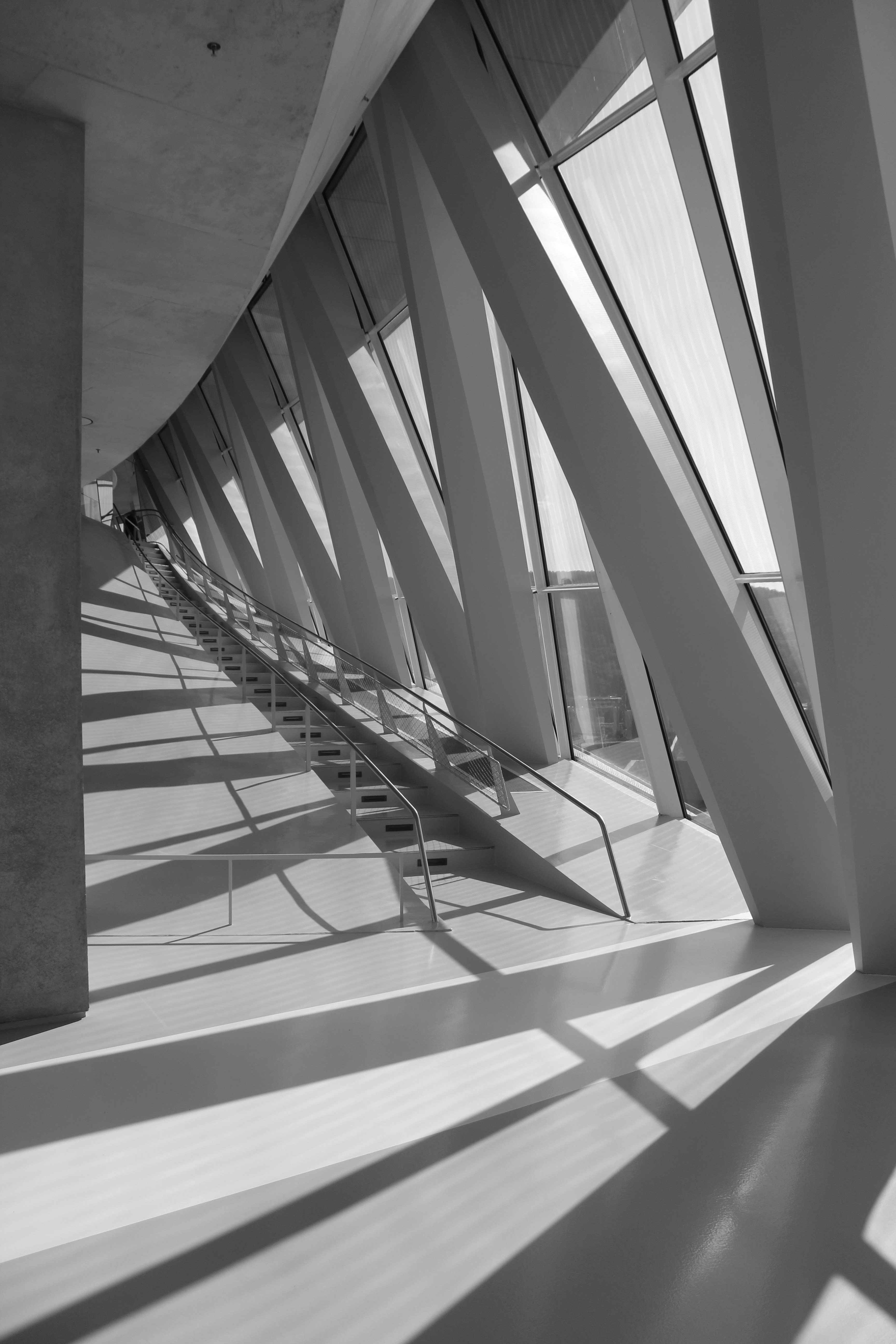 Photo by amirarsalan93