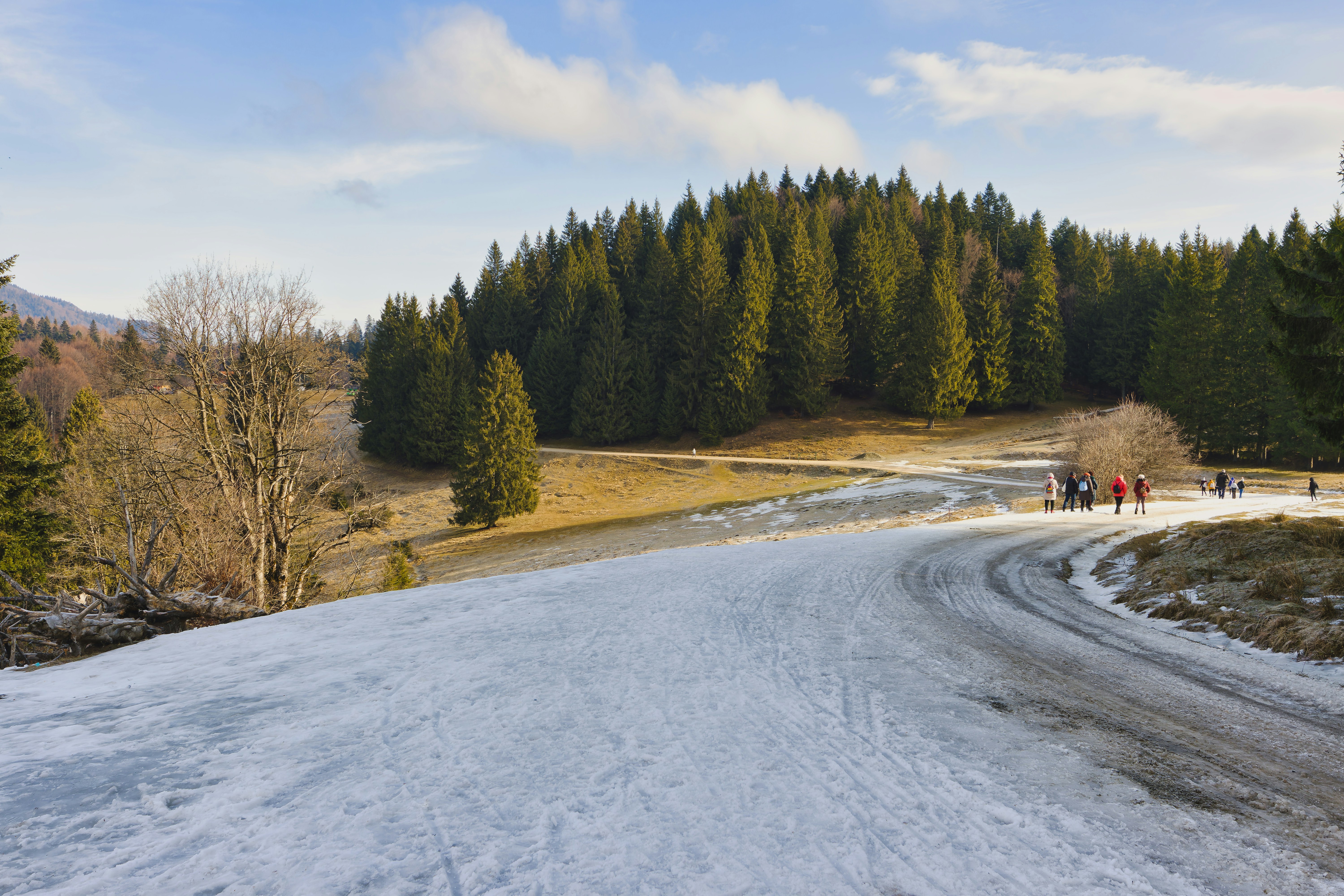 Cazare în Predeal: Cioplea, drum de iarnă spre pădure
