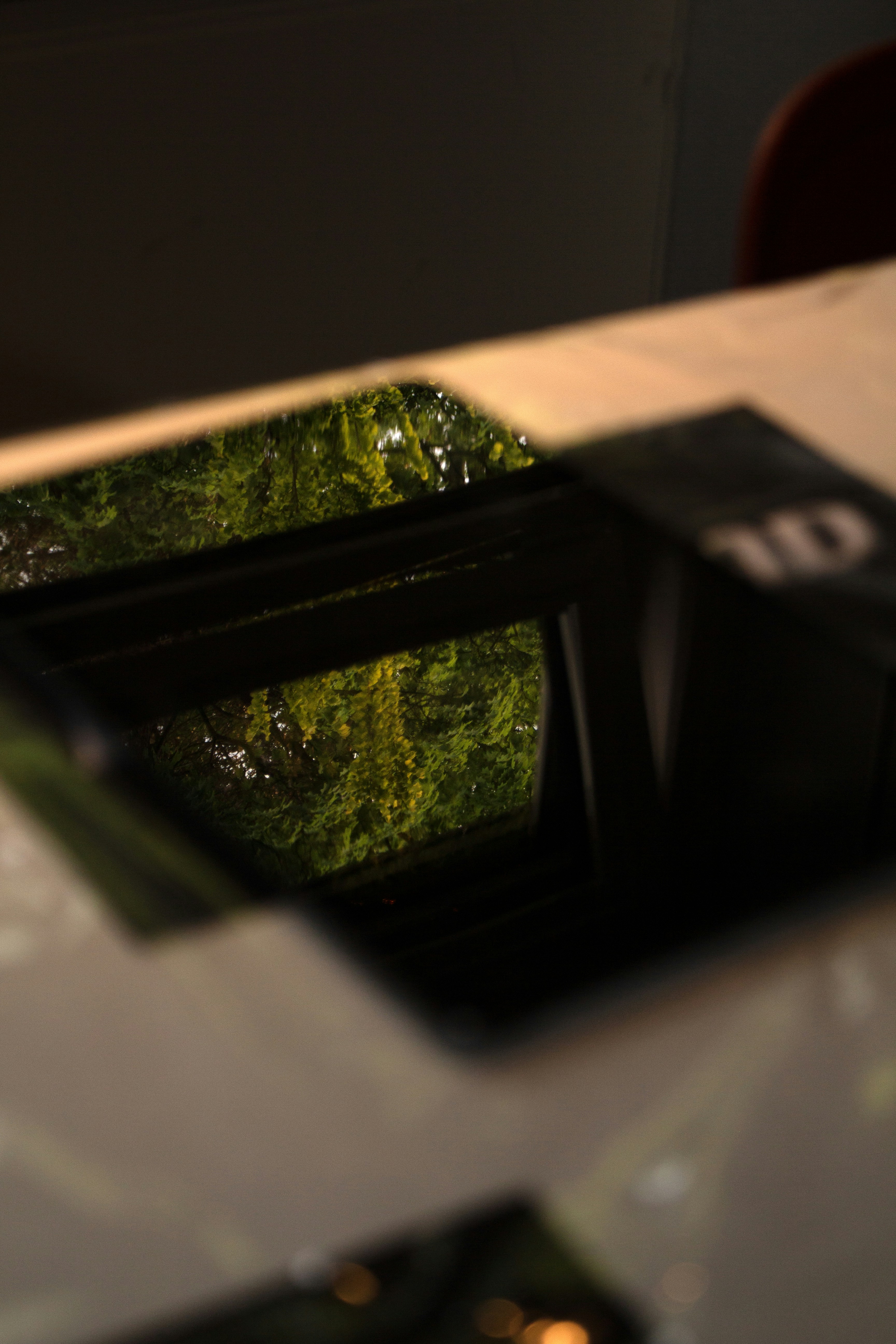 A reflection of green trees on a table.