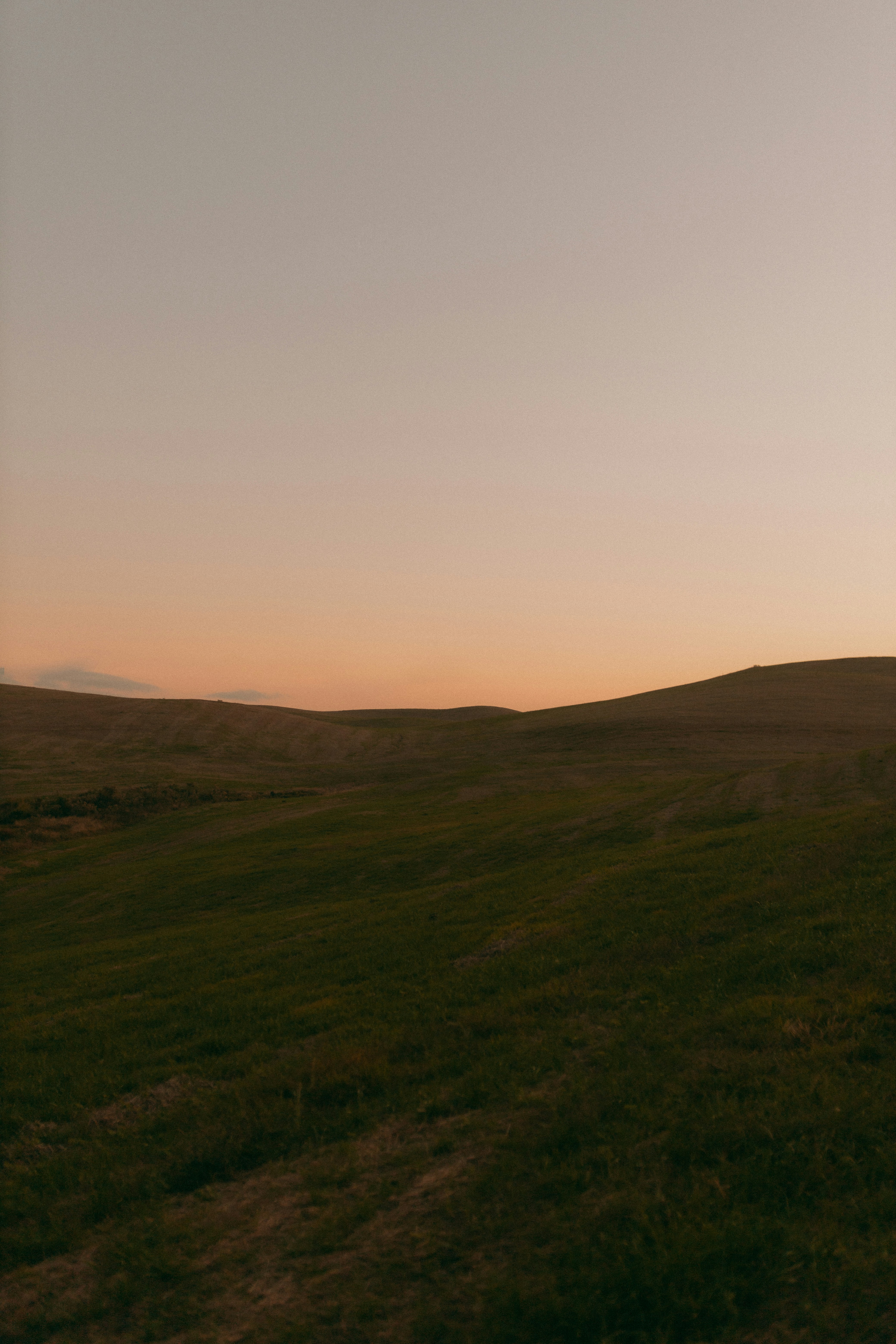 Photo by alexandermassph