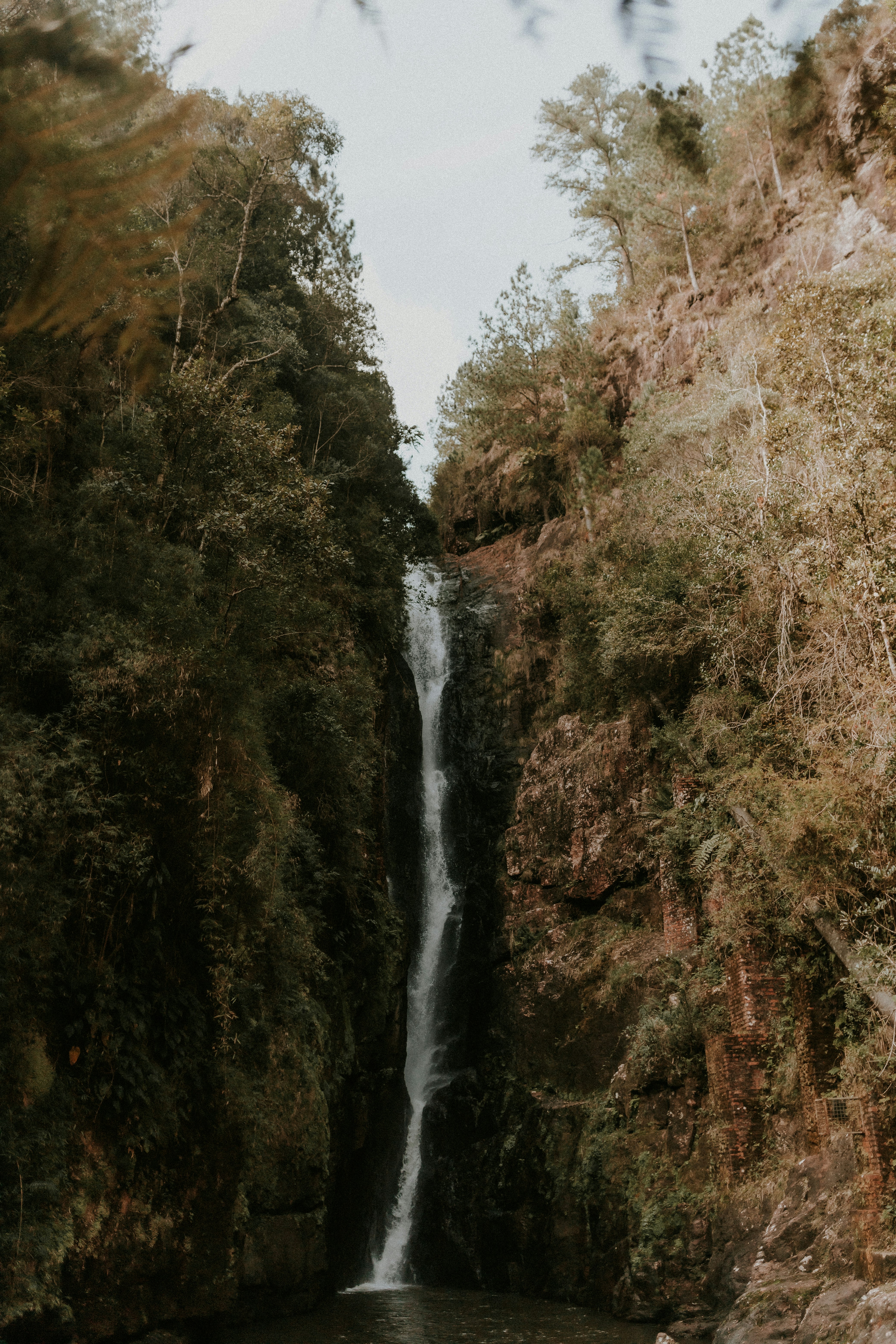 Photo by alexandermassph