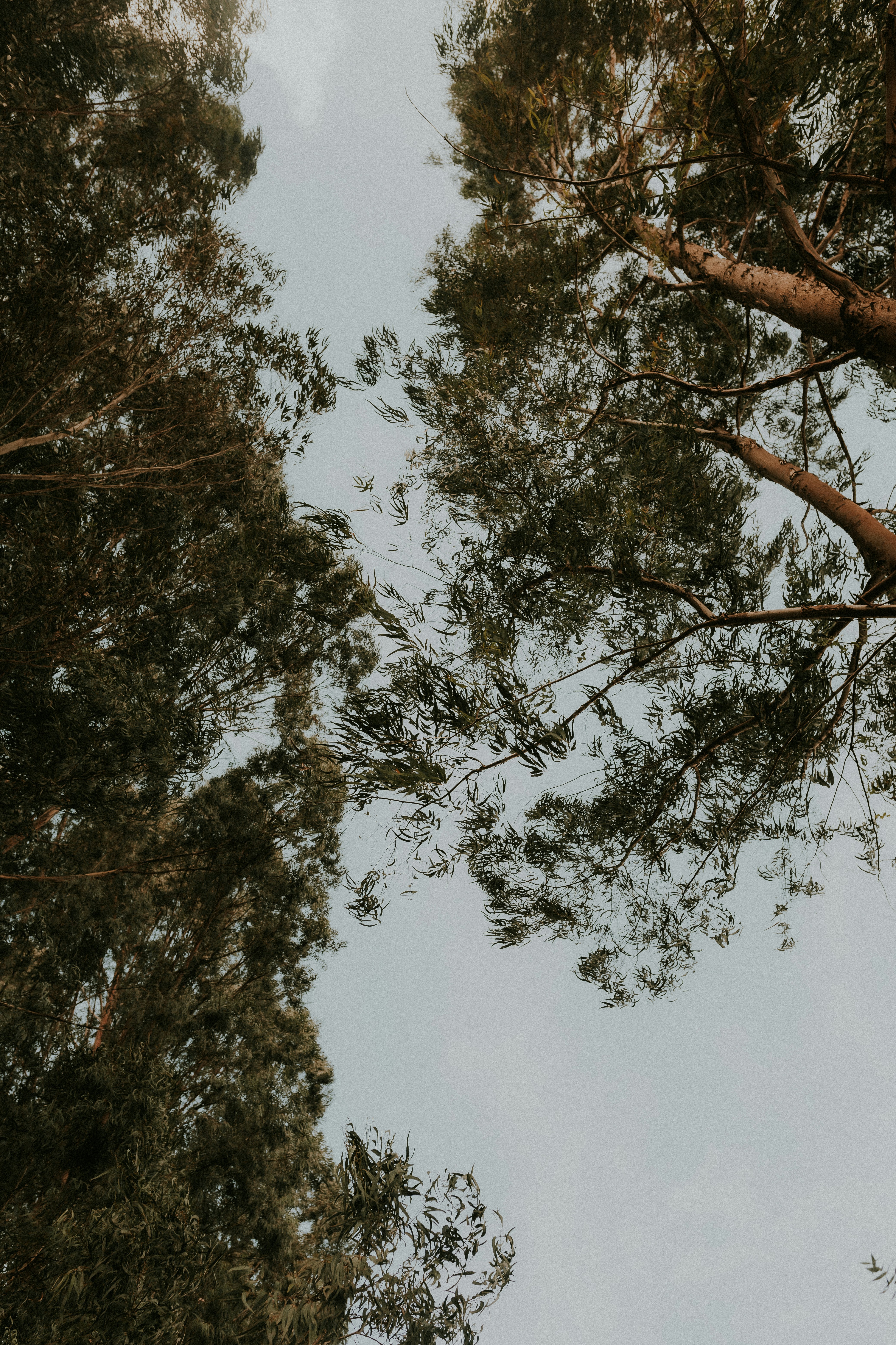 Photo by alexandermassph