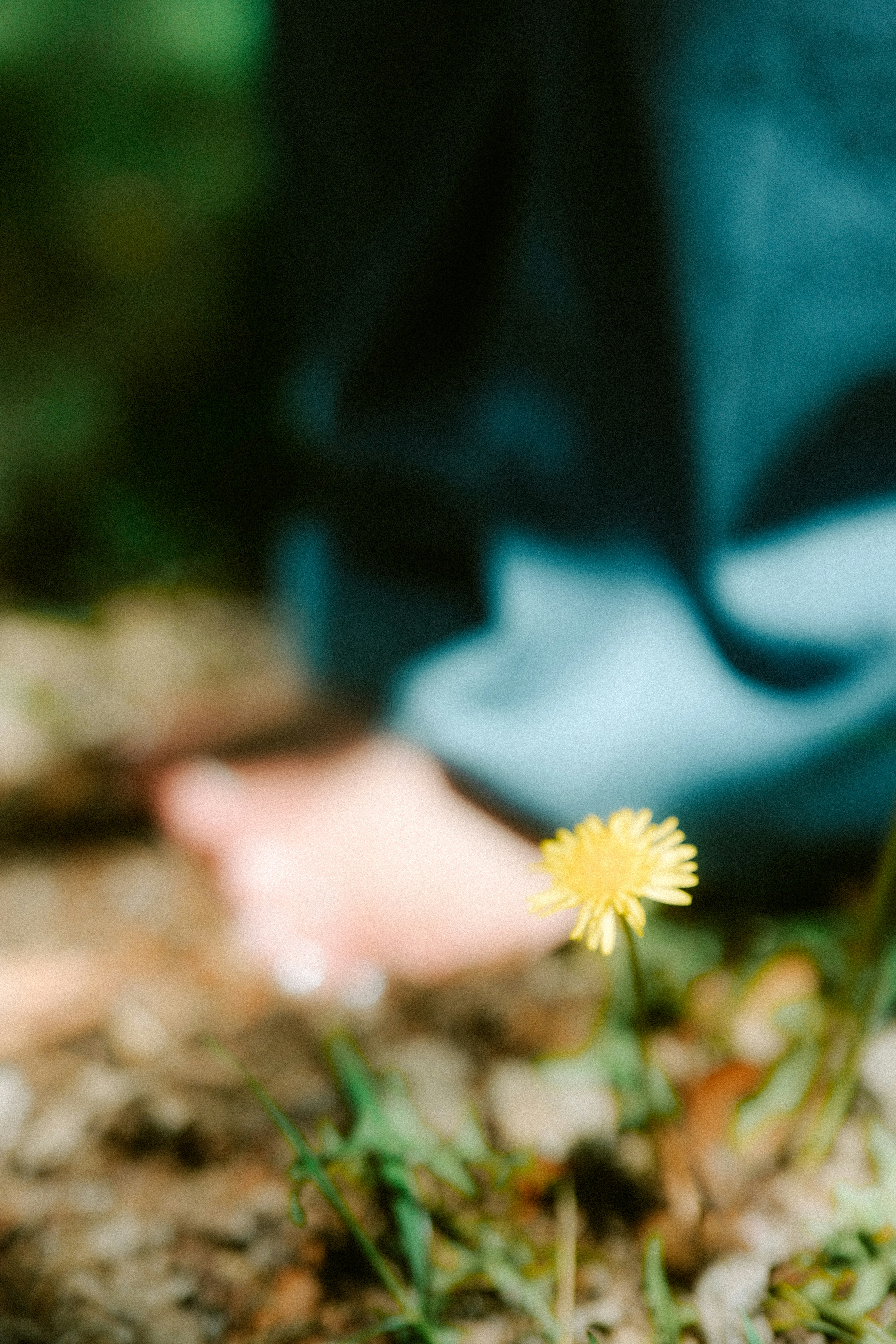 Photo by brookebalentine