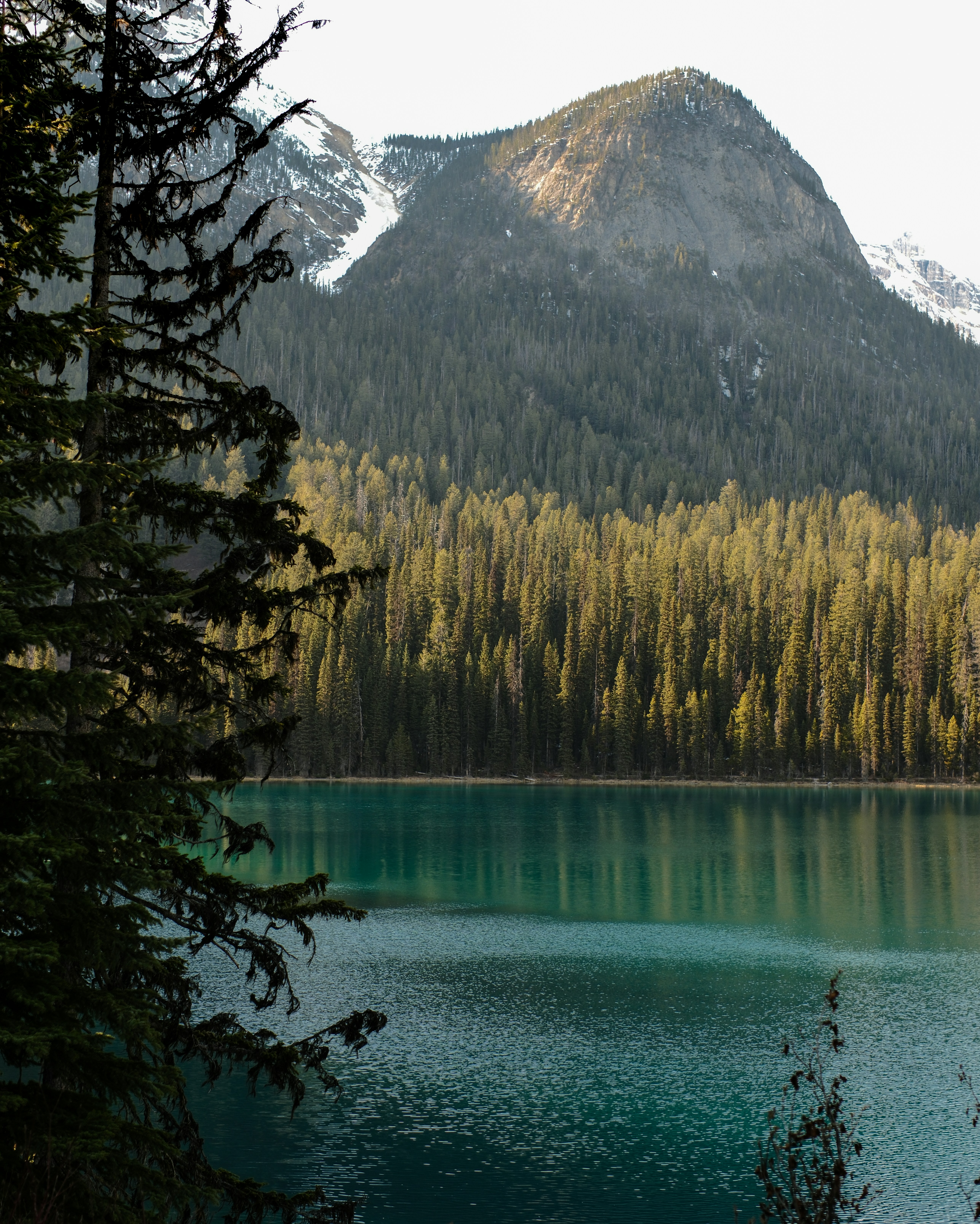 Photo by farnaz________