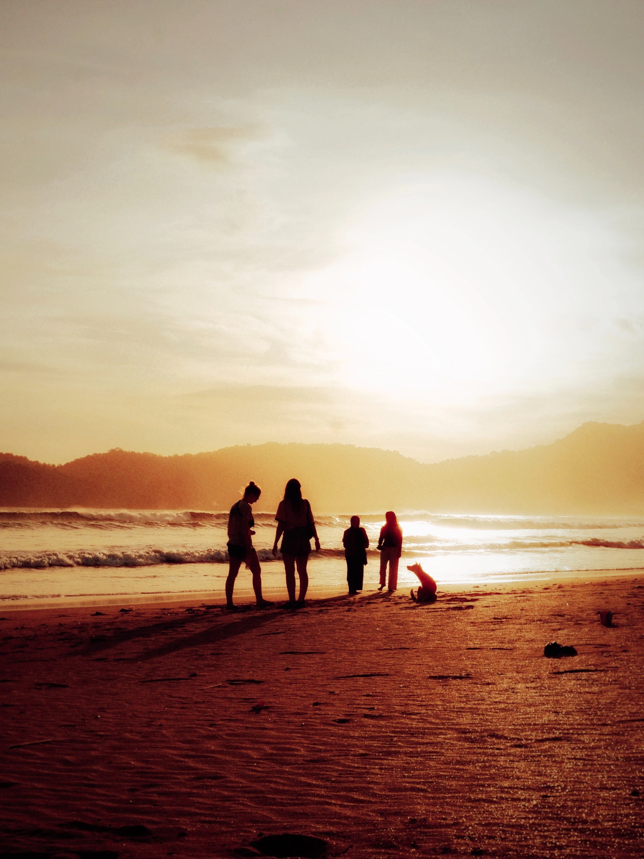 People and a dog enjoy a beach sunset.