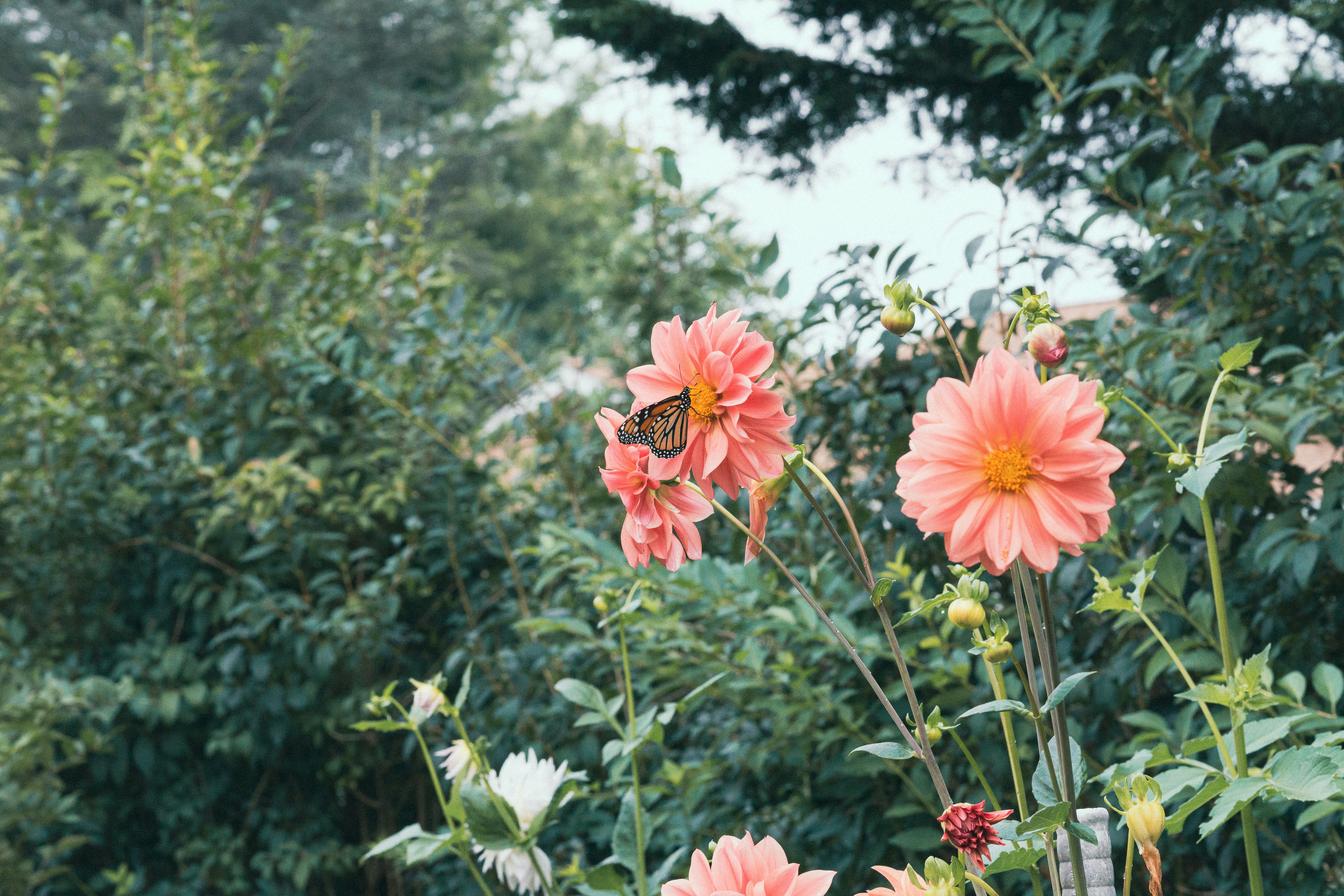 Photo by hirokonishimura