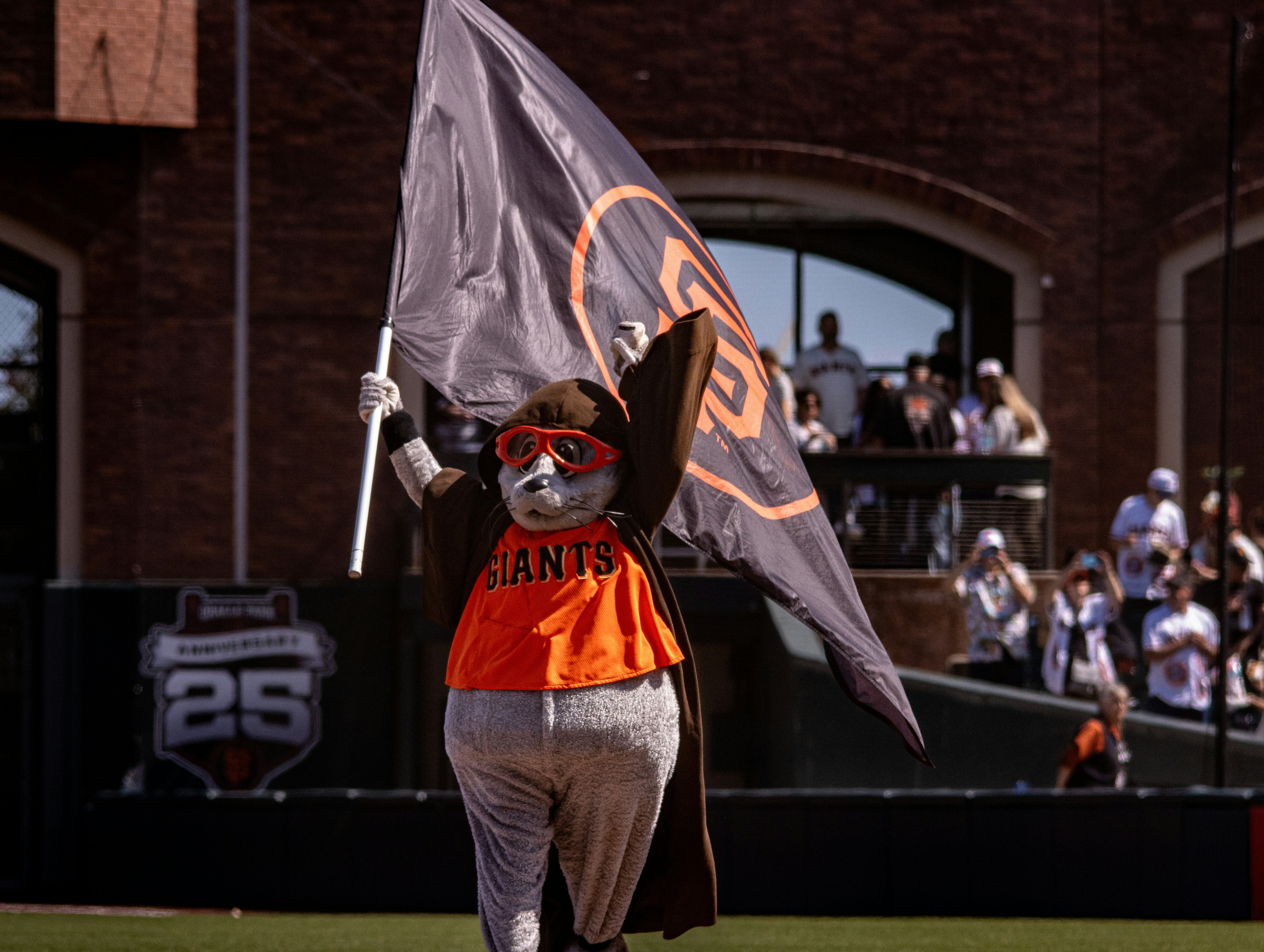Lou seal marches with the giants flag