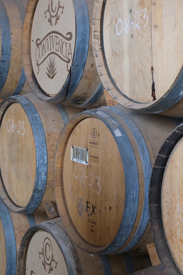 Wooden barrels stacked, likely for aging spirits.