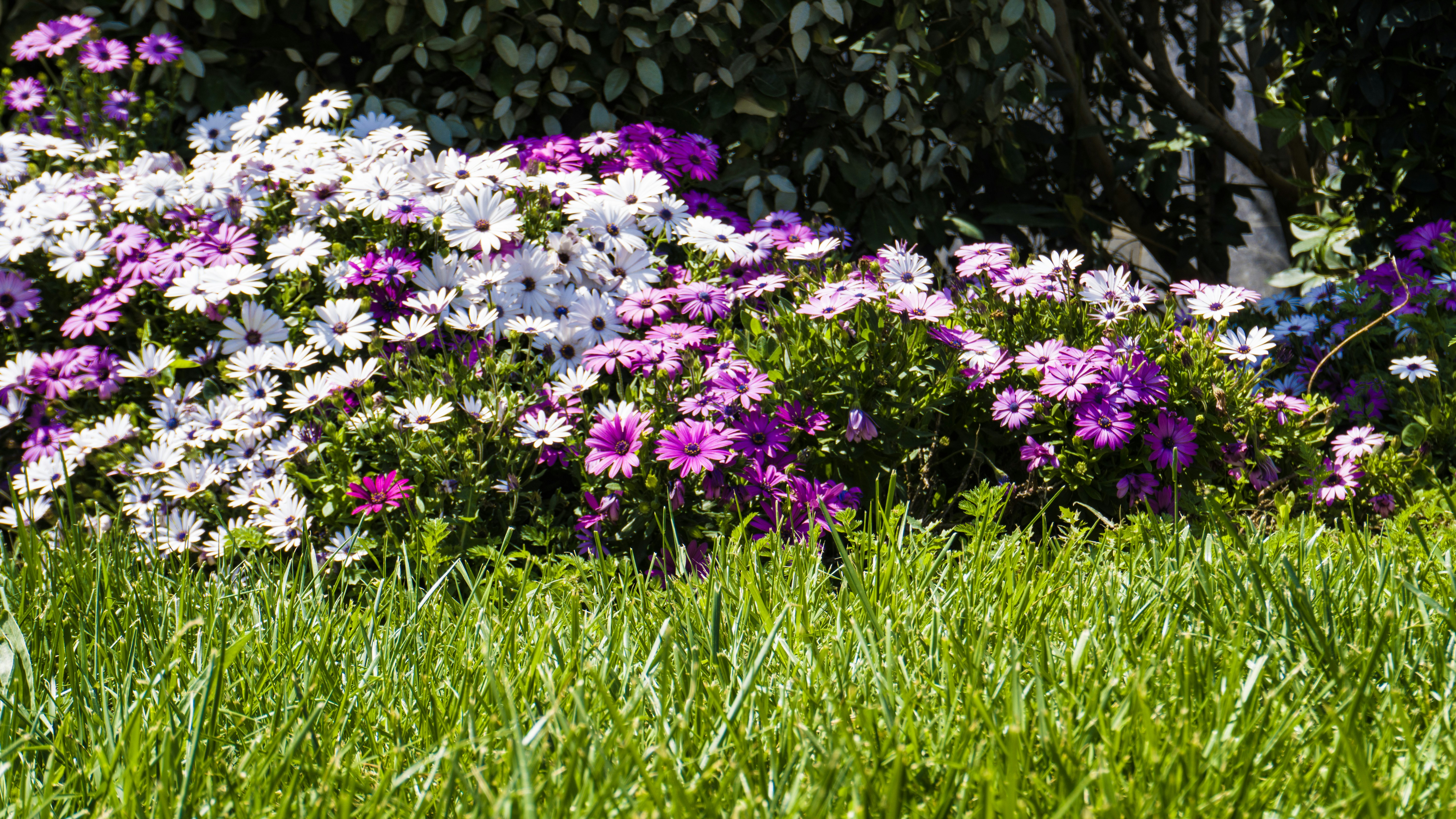 Photo by zulfugarkarimov