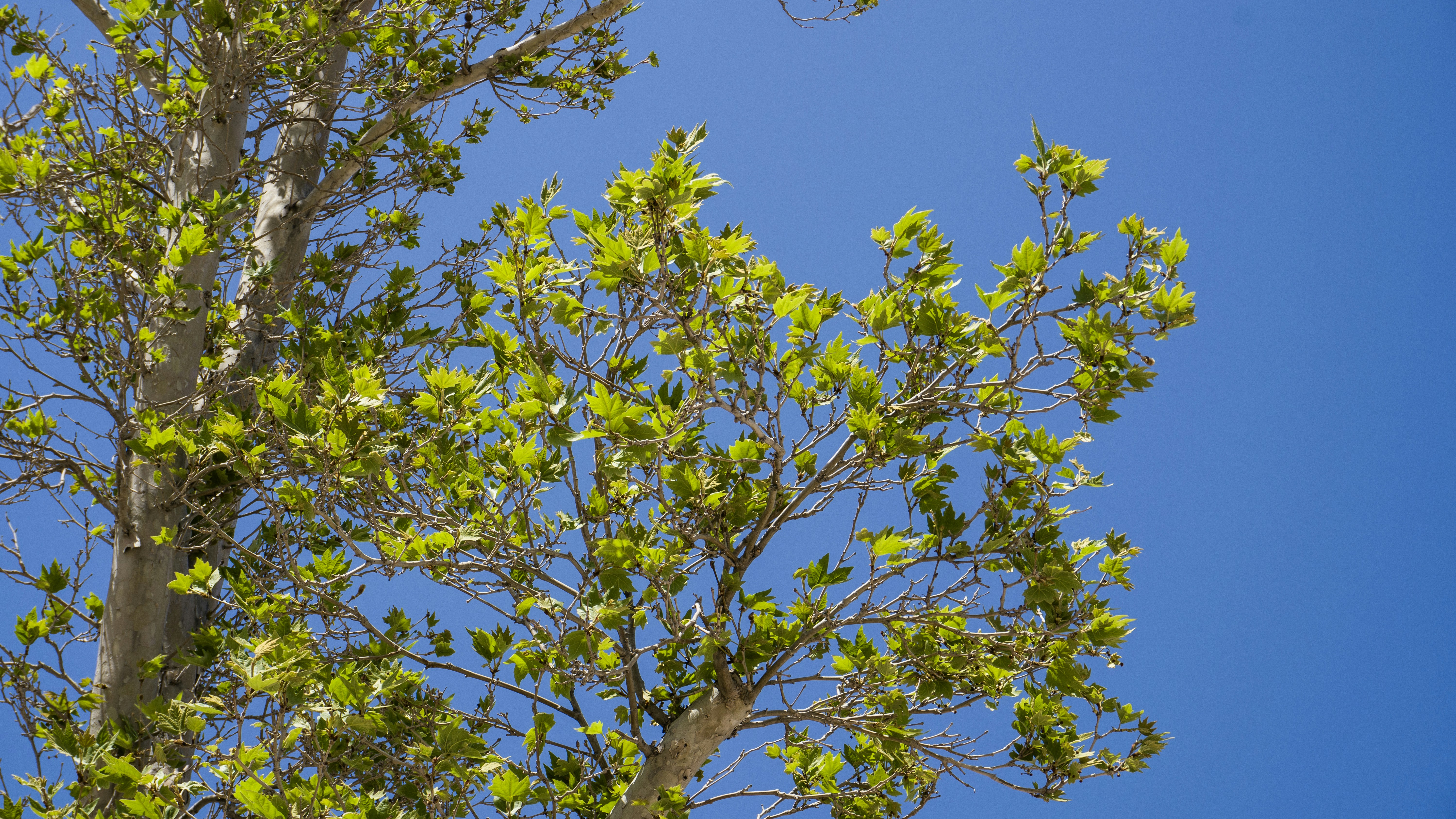 Photo by zulfugarkarimov