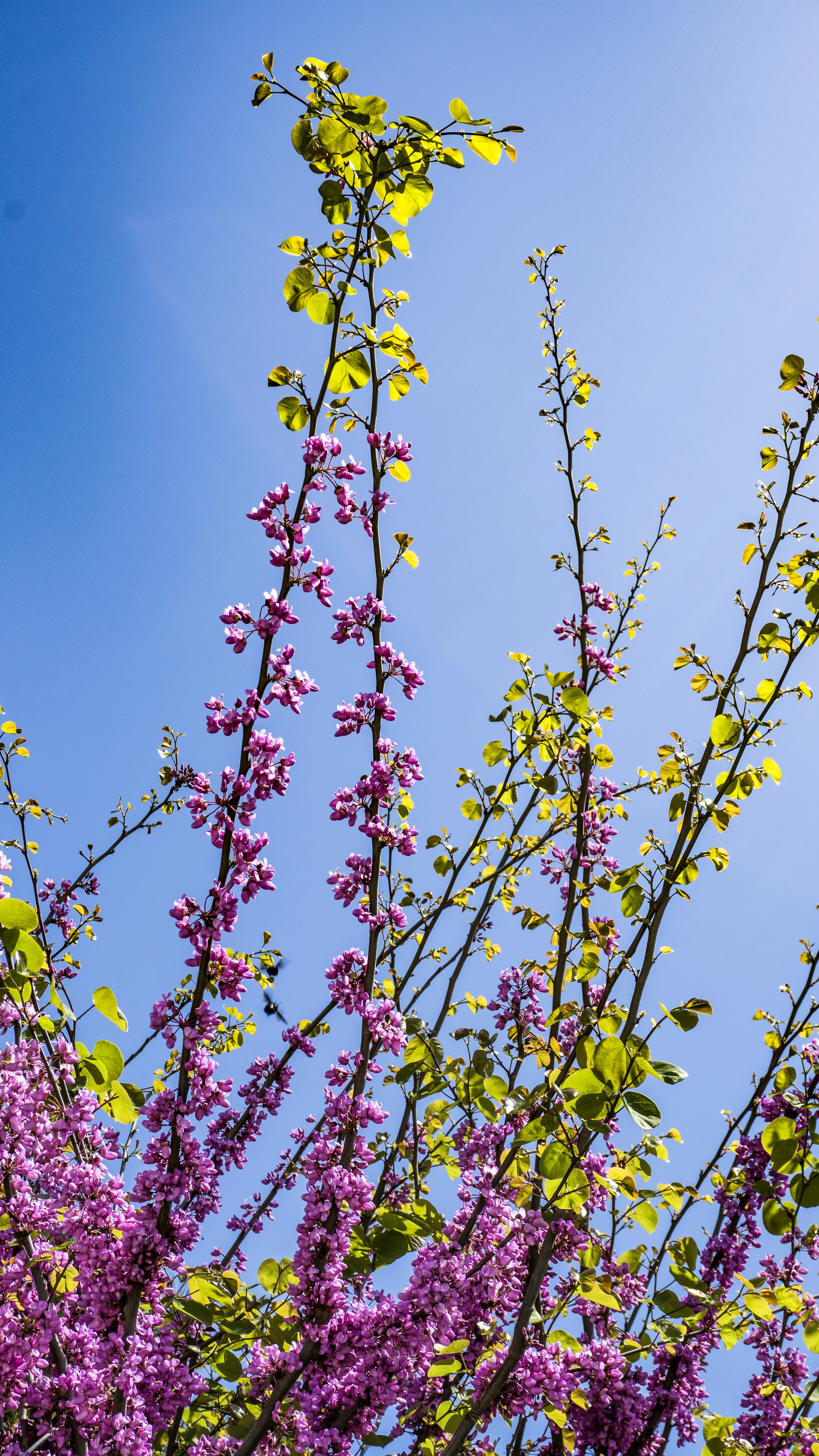 Photo by zulfugarkarimov