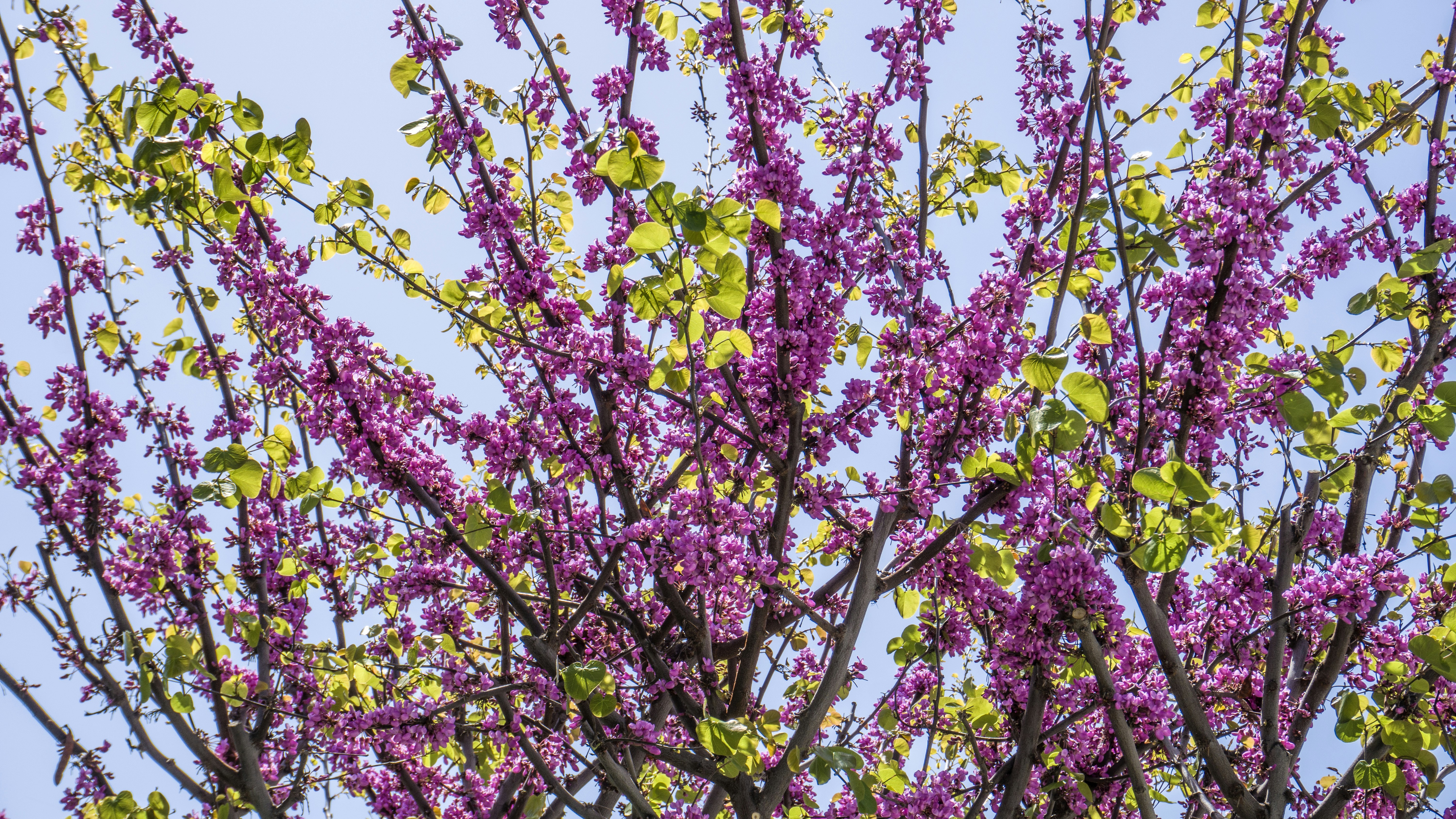 Photo by zulfugarkarimov