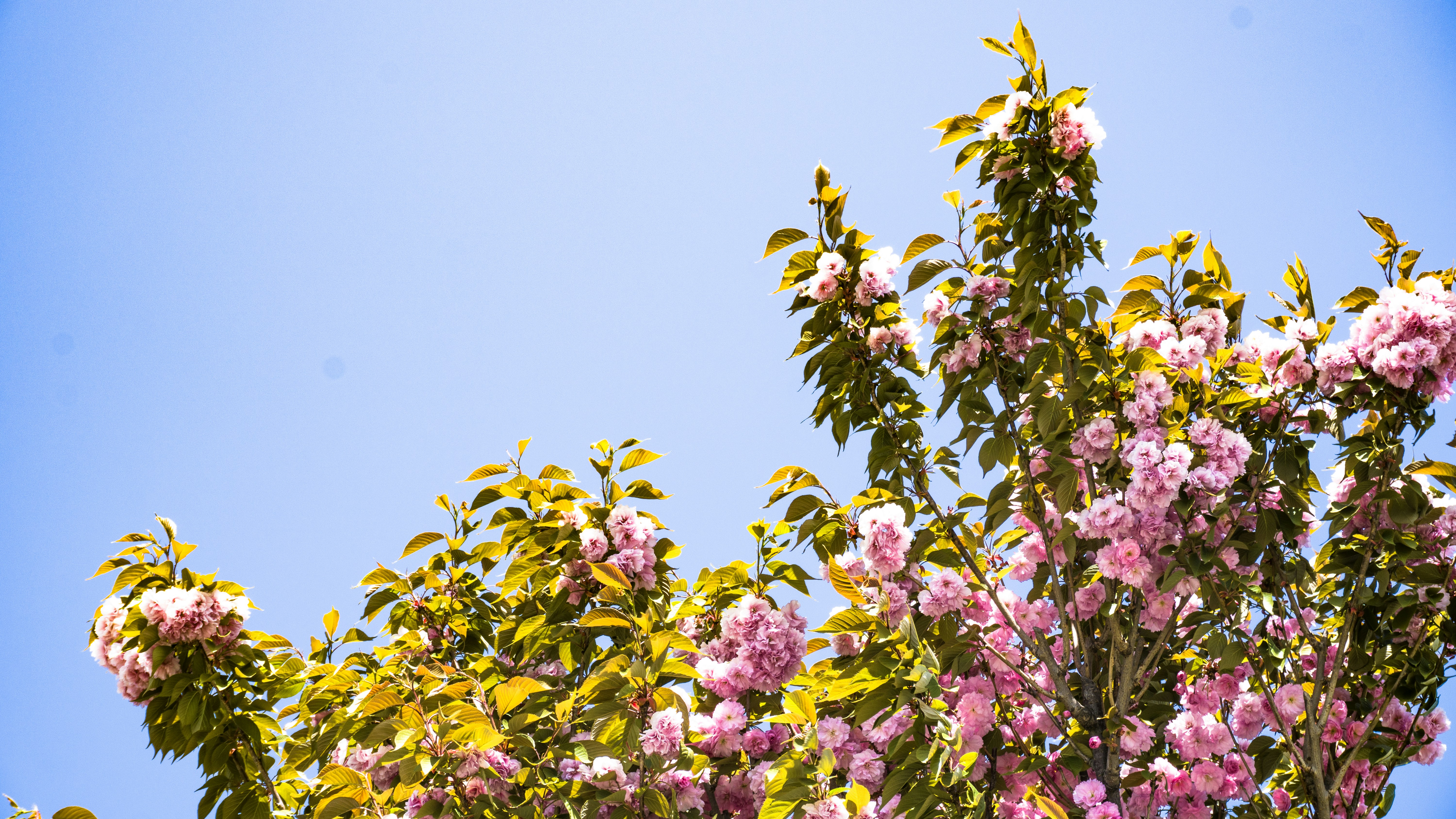 Photo by zulfugarkarimov