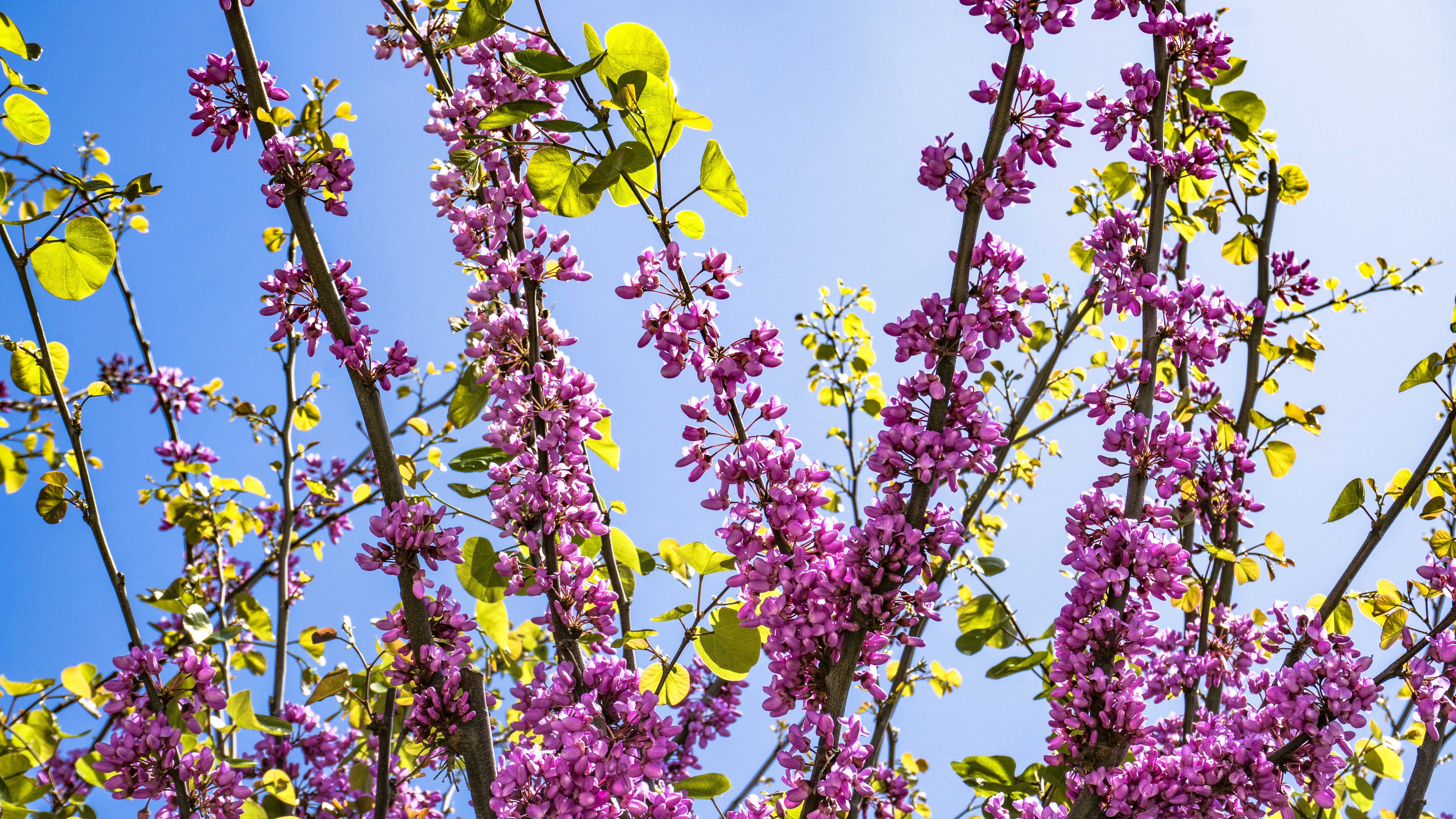 Photo by zulfugarkarimov