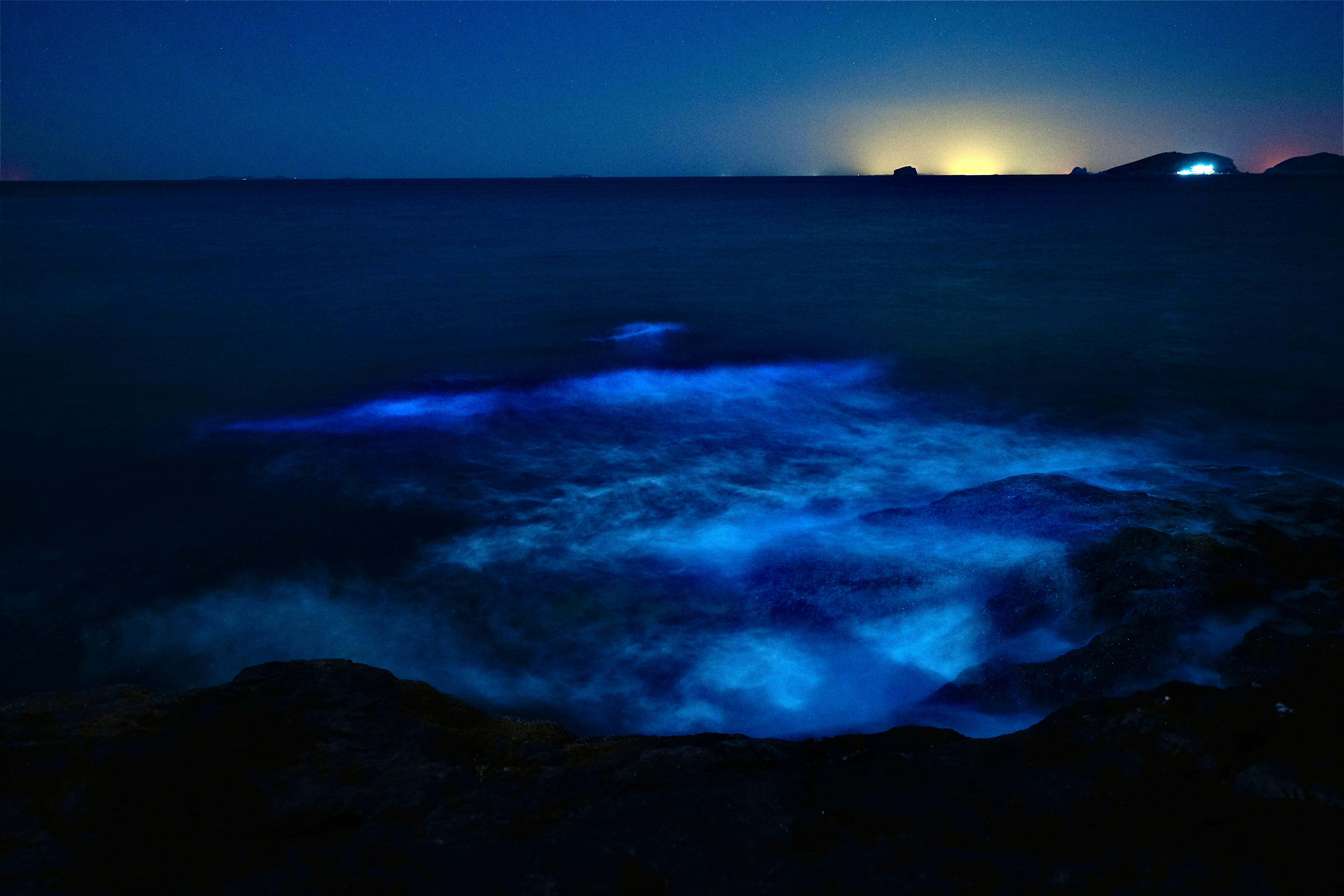 Perfect Conditions for Maximum Glow (image credits: unsplash)