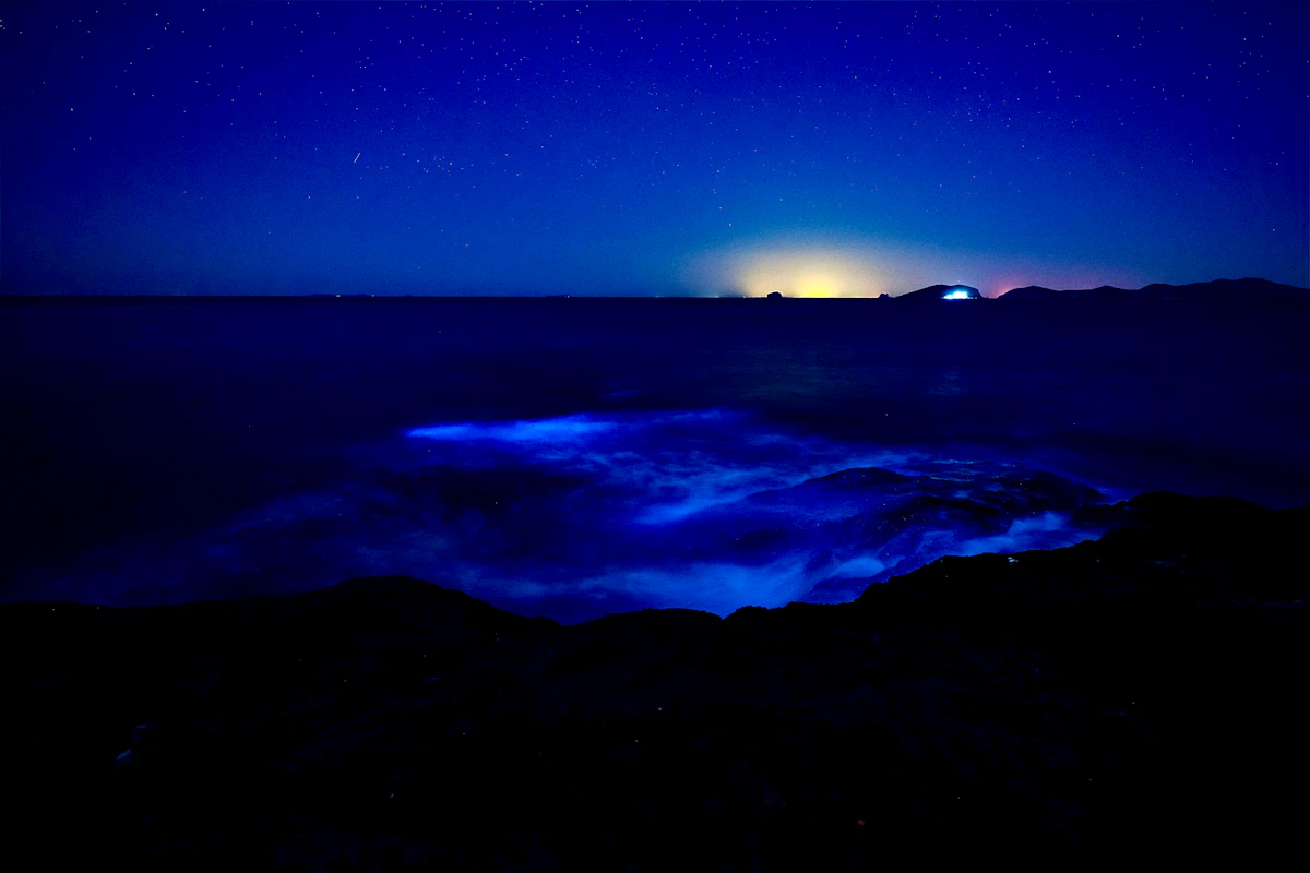 Electric-blue bioluminescent waves crashing under a starry night sky