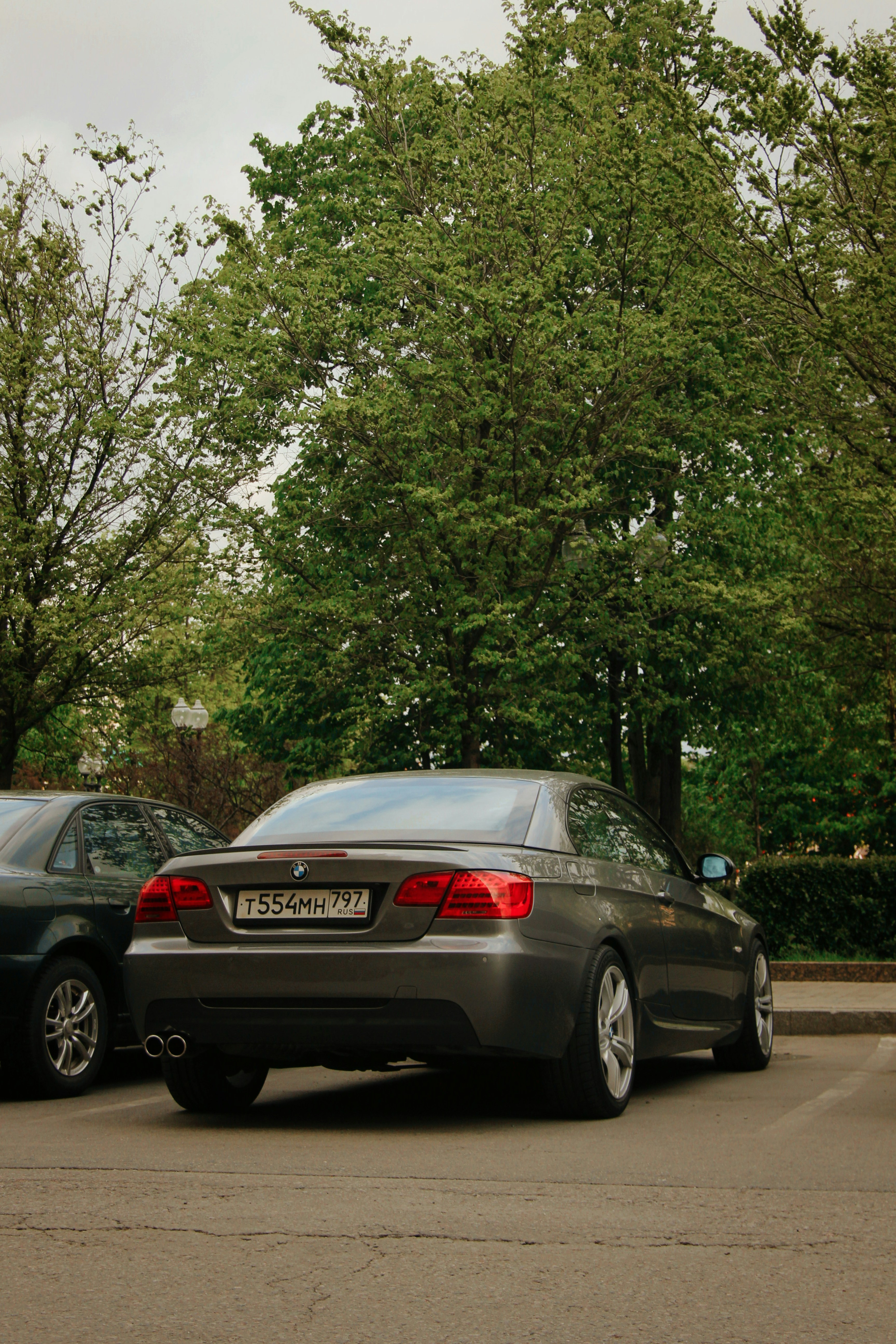 Photo by felis_catus