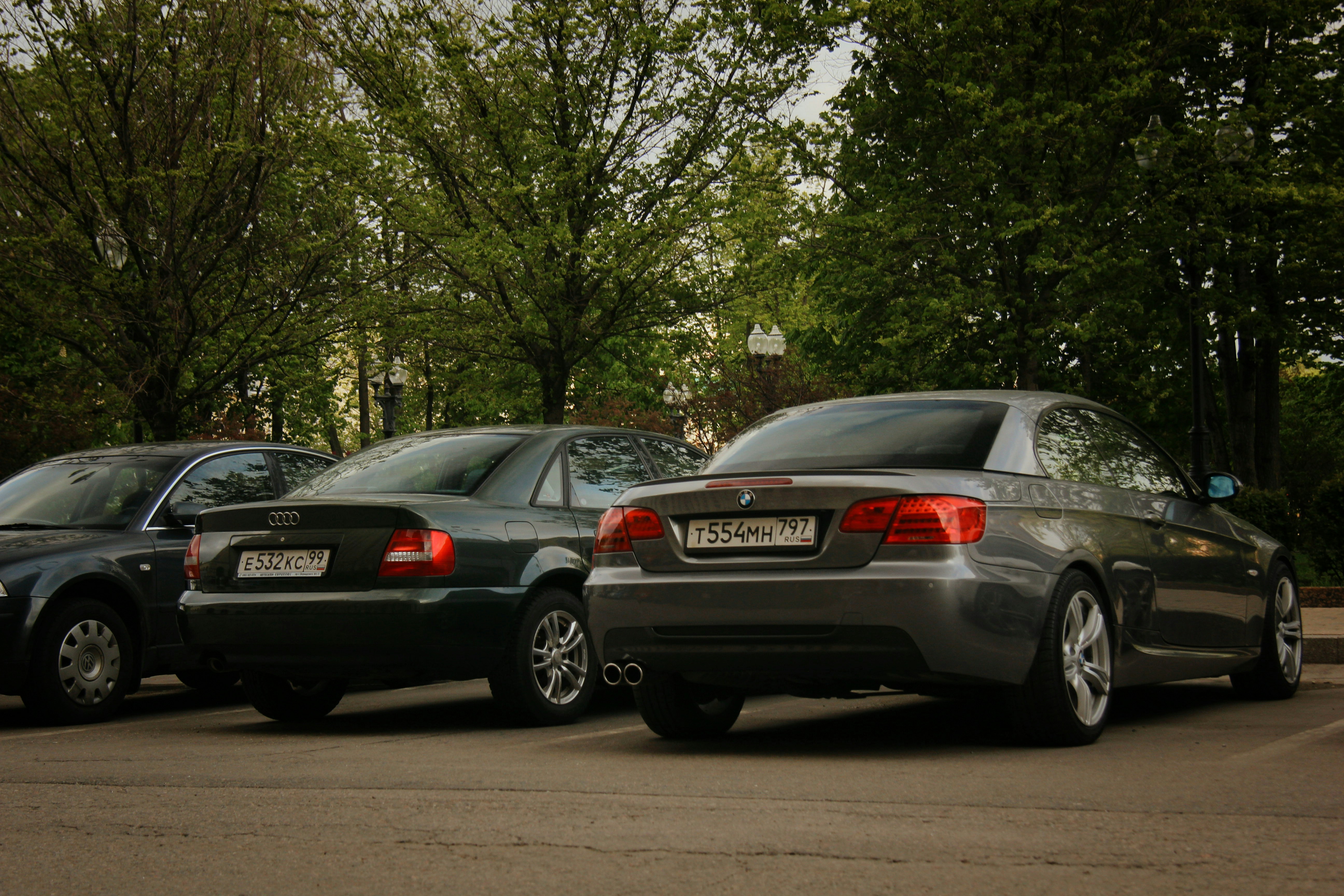 Photo by felis_catus