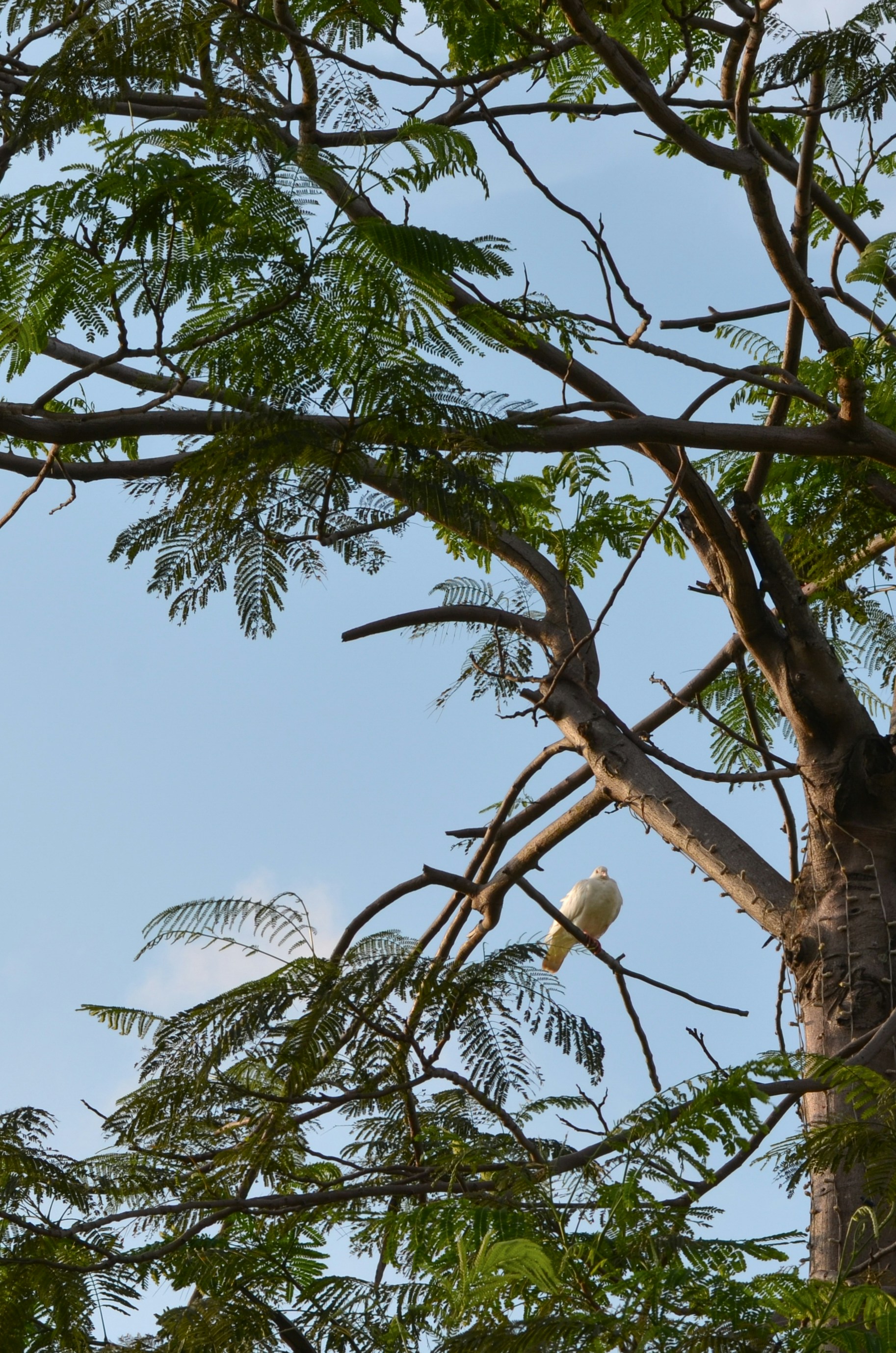 Photo by potatonorim