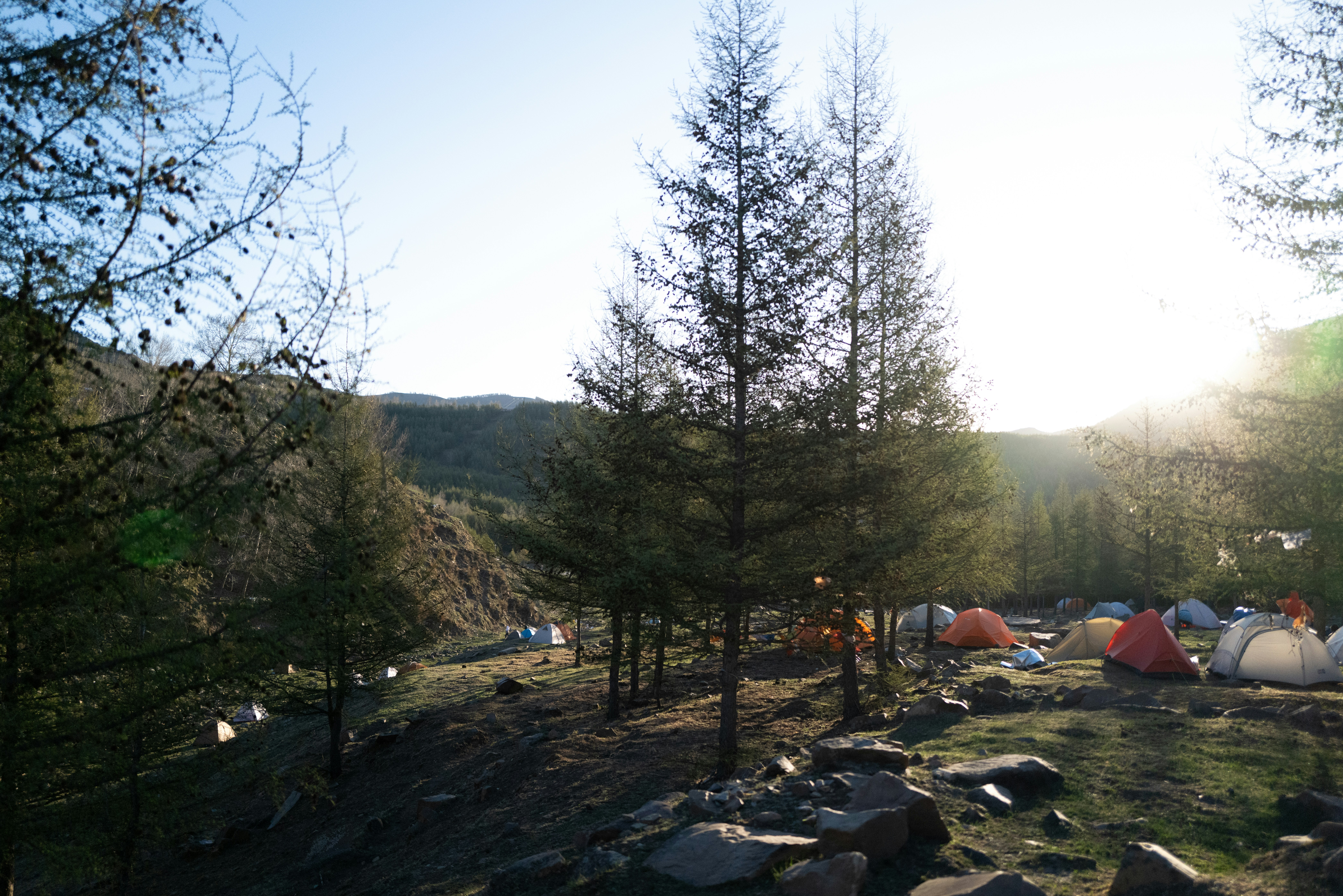 Sunnyhill Campsite