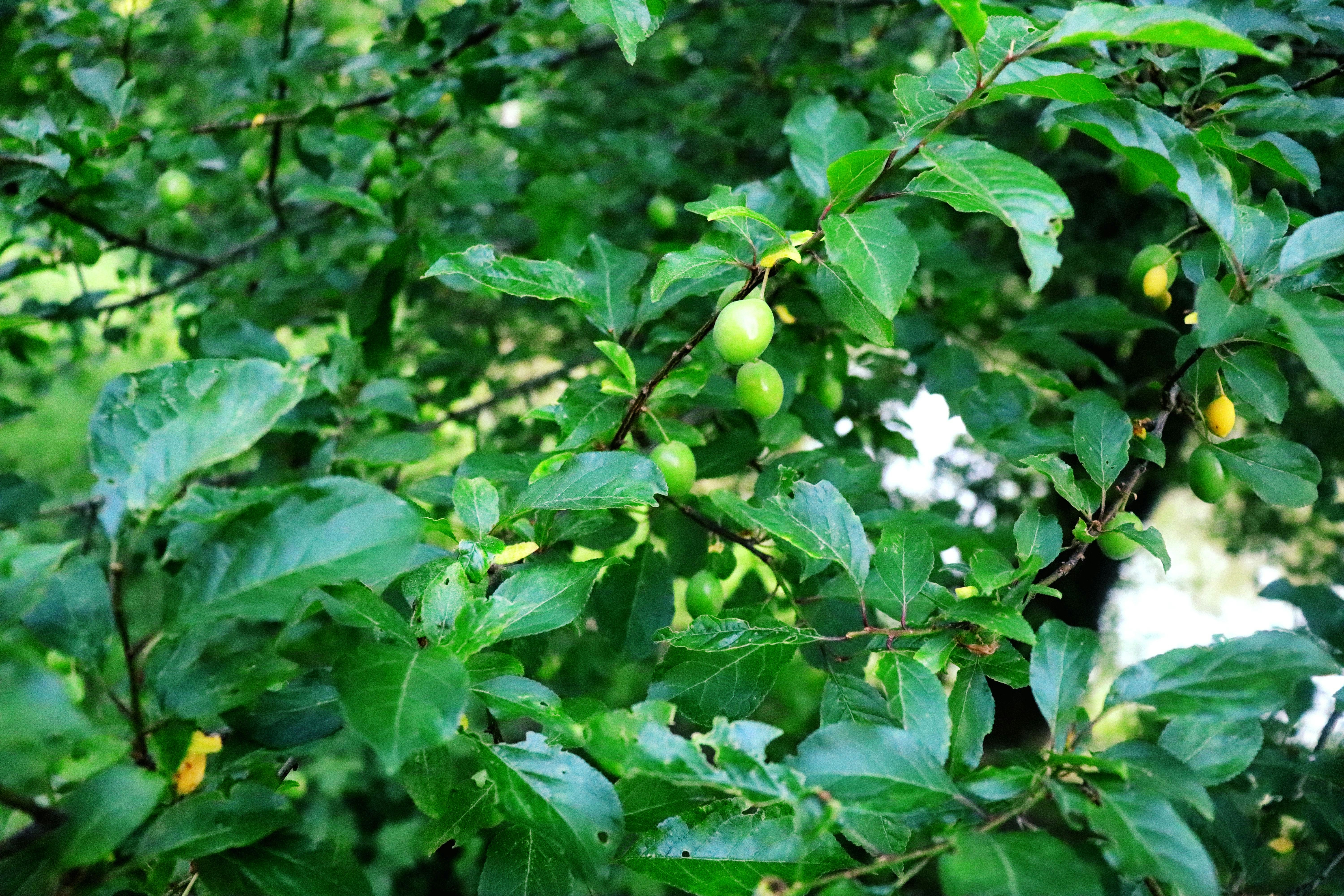 Photo by stasiaspark