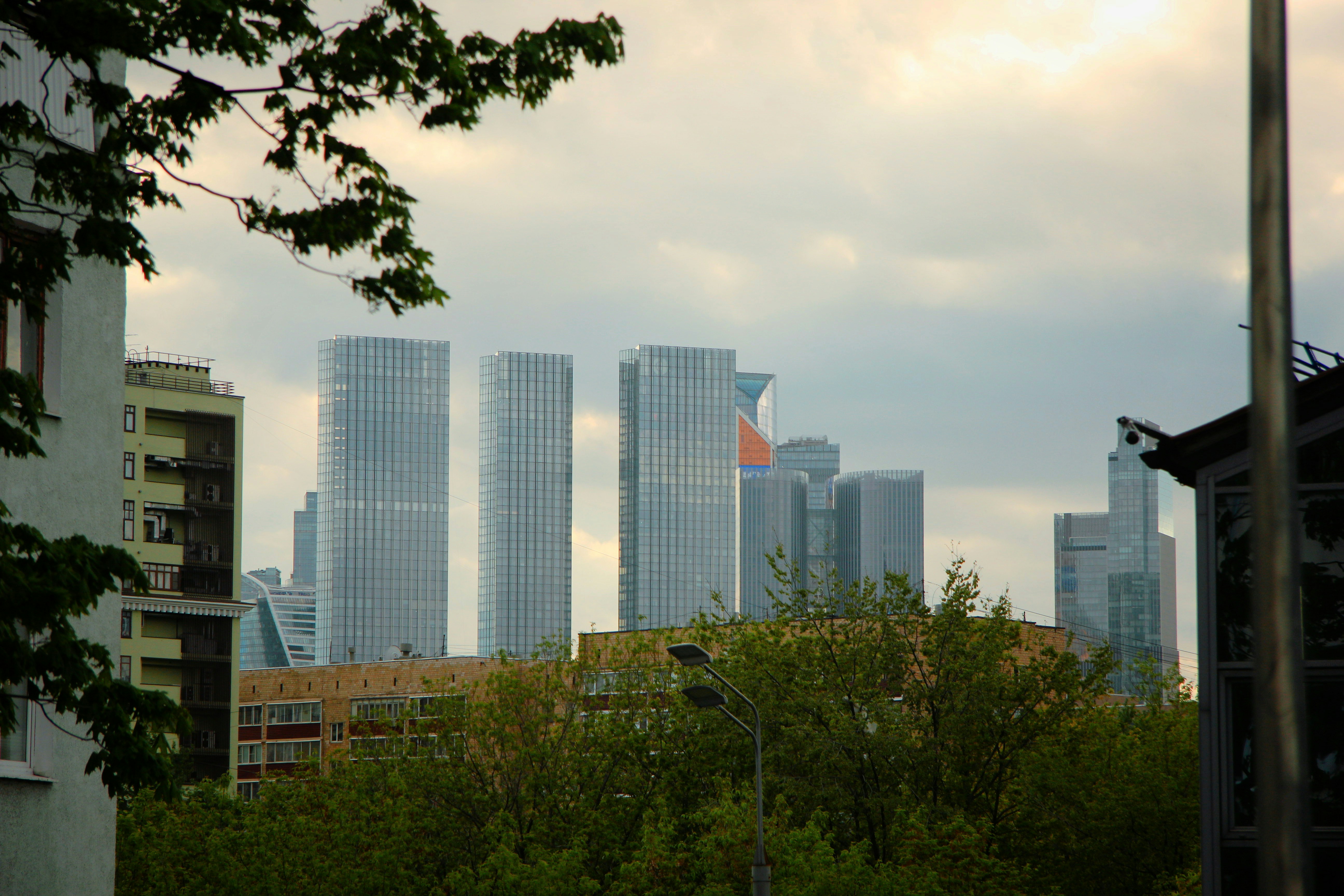 Photo by felis_catus