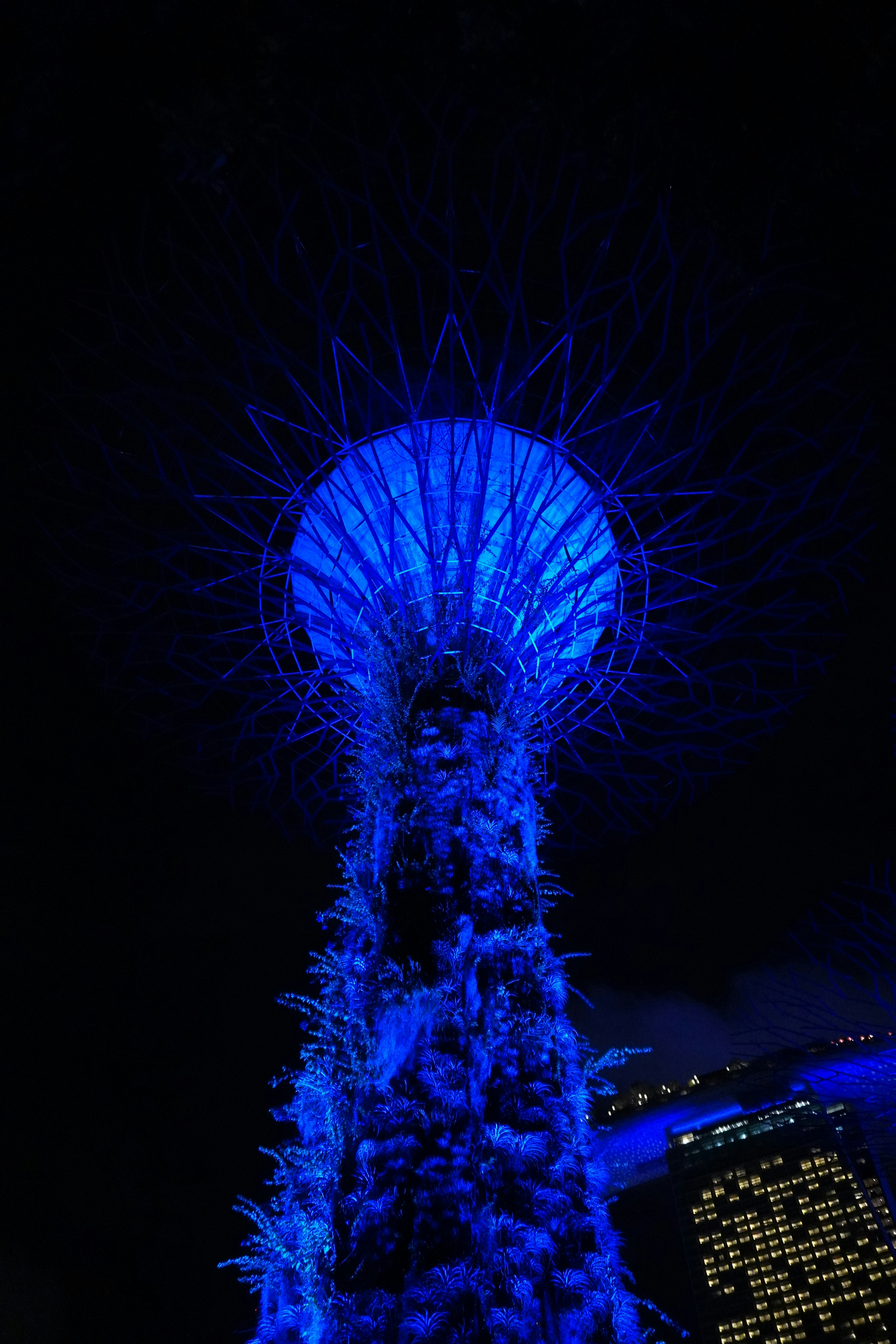 Photo by ridhamsupriyanto