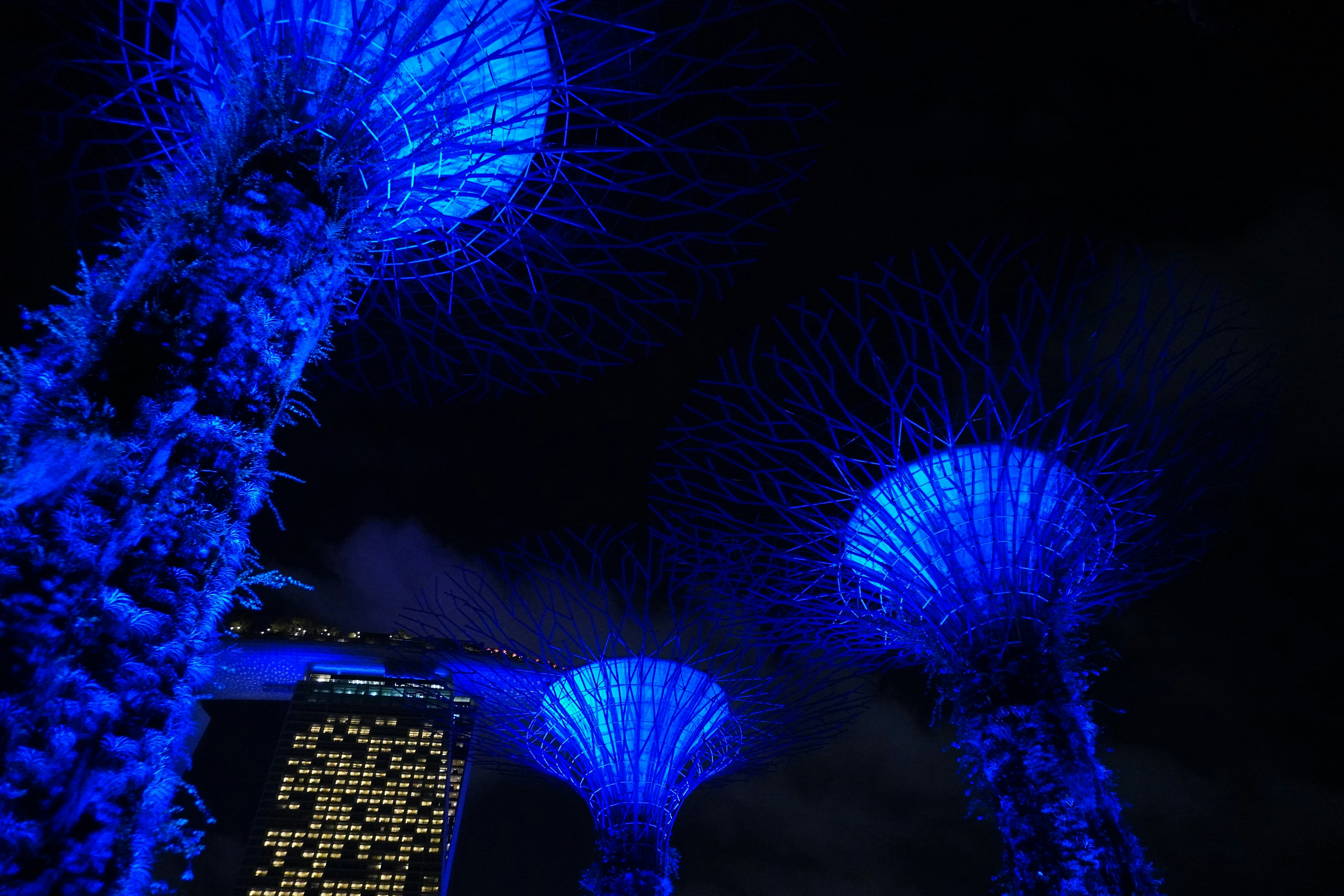 Photo by ridhamsupriyanto