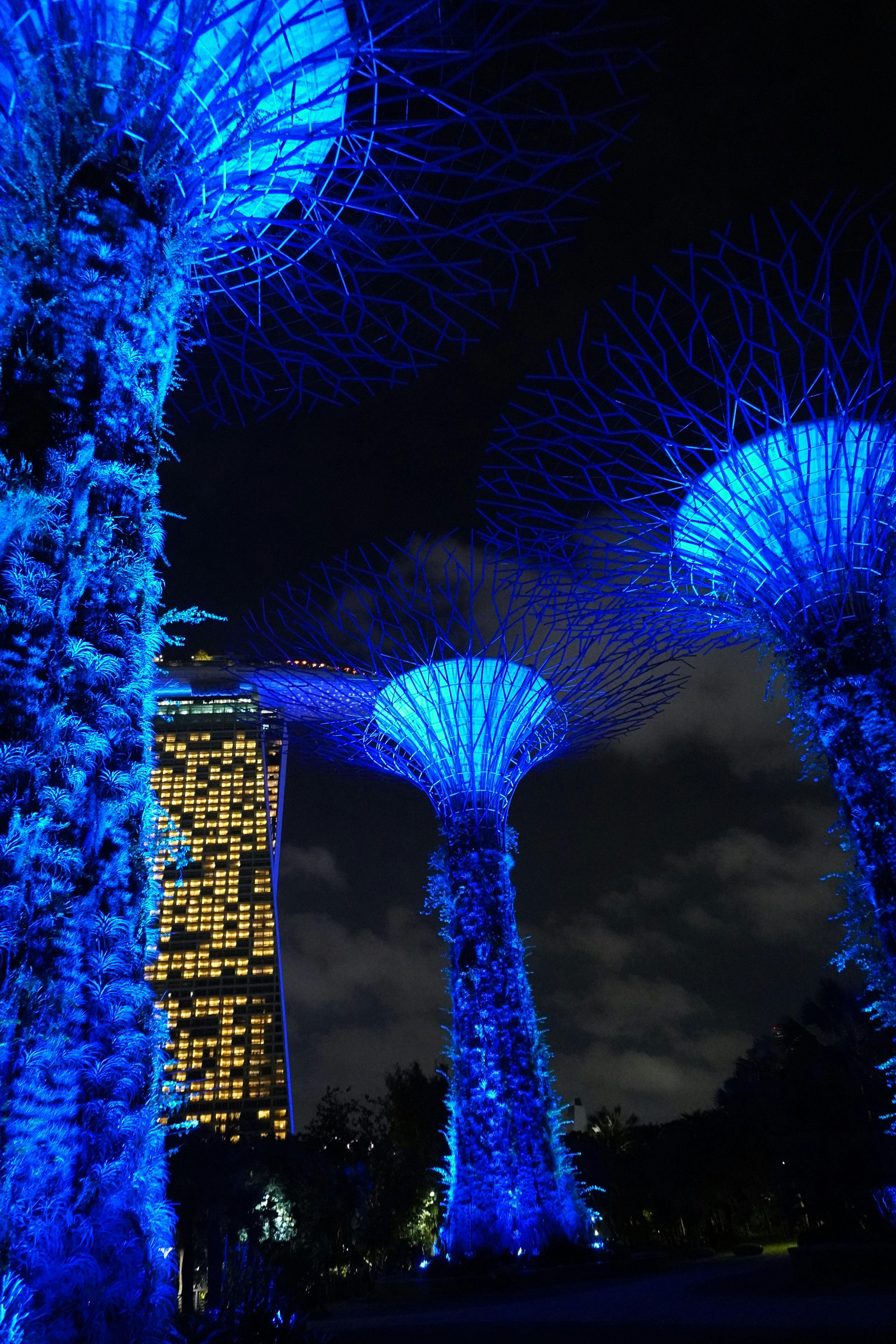 Photo by ridhamsupriyanto