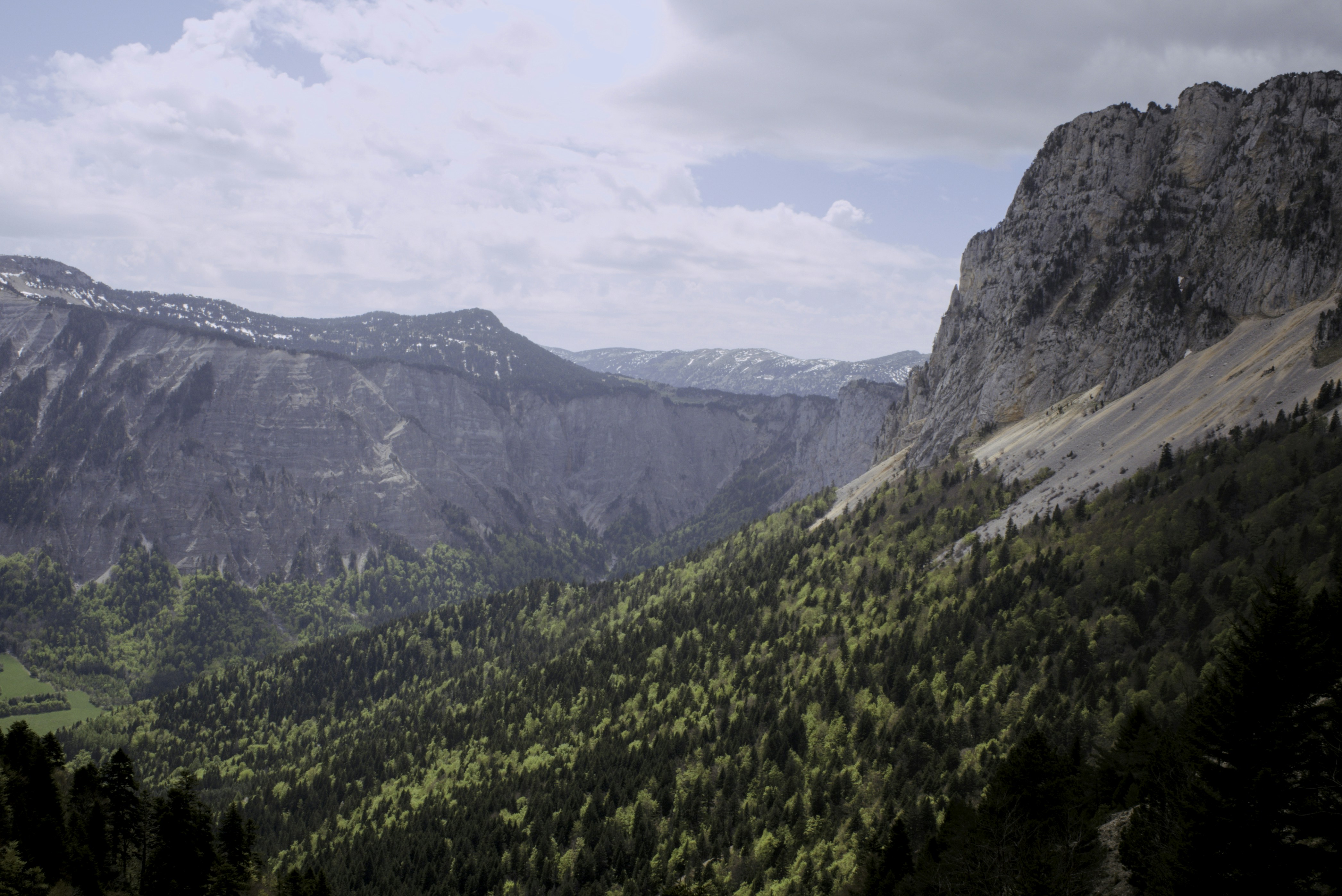 Photo by thomastygreat