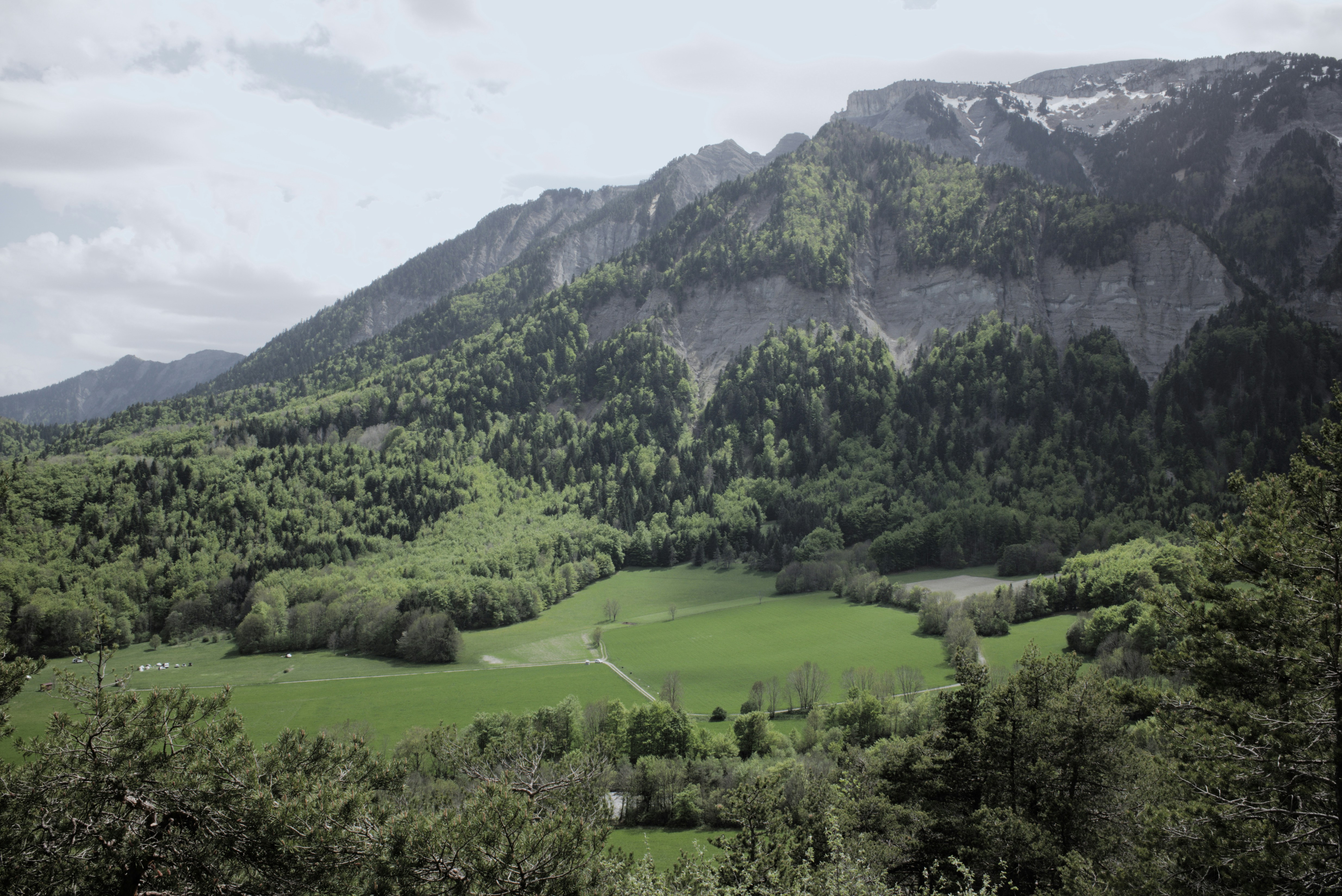 Photo by thomastygreat